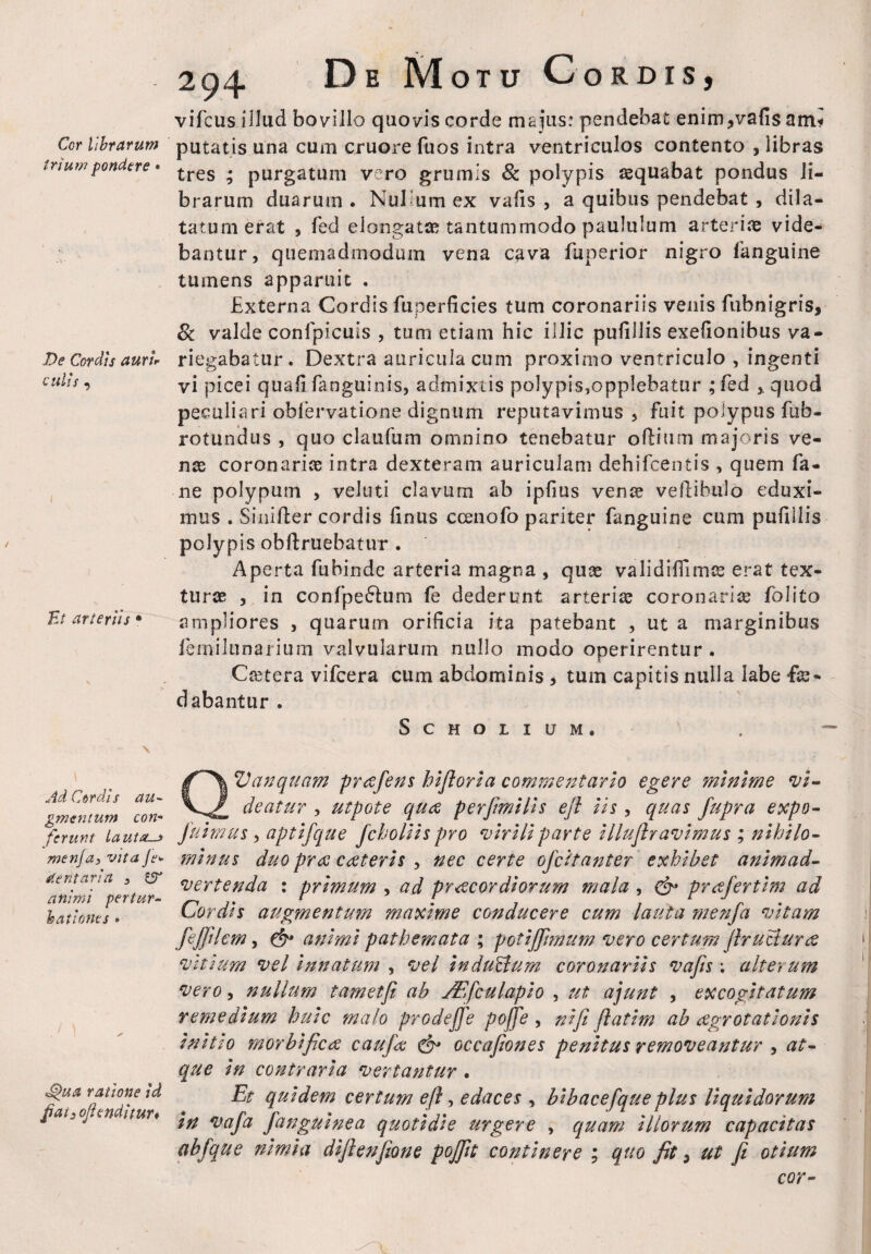 trium pondere • .De Cordis auru culis , i Ut arteriis • \ Ad Cordis au¬ gmentum con¬ ferunt lauta—* menja3 vita Je<- dentaria , S5T animi pertur¬ bationes • <£>ua ratione id pat3 oftenditur* 294 De Motu Cordis, vifcus illud bovillo quovis corde majus: pendebat enim?vafi$ am? putatis una cum cruore fuos intra ventriculos contento , libras tres ; purgatum vero grumis 8c polypis aequabat pondus li¬ brarum duarum . Nullum ex vads , a quibus pendebat , dila¬ tatum erat , fed elongatae tantummodo paululum arteriae vide¬ bantur, quemadmodum vena cava fuperior nigro fanguine tumens apparuit . Externa Cordis fuperficies tum coronariis venis fubnigris, 8c valde conlpicuis , tum etiam hic illic pufillis exefionibus va¬ riegabatur. Dextra auricula cum proximo ventriculo , ingenti vi picei quali fanguinis, admixtis polypis^pplebatur ,* fed quod peculiari obfervatione dignum reputavimus , fuit polypus fub- rotundus , quo claufum omnino tenebatur oftium majoris ve¬ nae coronariae intra dexteram auriculam dehifcentis , quem fa- ne polypum , veluti clavum ab ipfms venae veftibulo eduxi¬ mus . Siiiifter cordis finus ccenofo pariter fanguine cum pufiilis polypis obliniebatur . Aperta fubinde arteria magna , quae validifilmae erat tex¬ turae , in confpe£lum fe dederunt arteriae coronariae folito ampliores , quarum orificia ita patebant , ut a marginibus femilunarium valvularum nullo modo operirentur . Caetera vifcera cum abdominis , tum capitis nulla labe fis- dabantur . SCHOLIUM. QVanquam prafens hlflorla commentario egere minime vi¬ deatur , utpote qu<£ perfimills ejl lis , quas fupra expo- fuimus , aptlfque fchollls pro virili parte lllujhavlmus ; nihilo¬ minus duo pree cceterls , nec certe ofeitanter exhibet animad¬ vertenda : primum , ad praecordiorum mala , & prafertlm ad Cordis augmentum maxime conducere cum lauta menfa vitam fefjilcm, & animi pathemata ; potiffimum vero certum jhucluree vitium vel Innatum , vel Induflum coronariis vafis ; alterum vero, nullum tametfi ab JEfculapio , ut ajunt , excogitatum remedium huic malo prodeffe pojfe , ni fi Jlatim ab aegrotationis Initio morbific<z caufat occaftones penitus removeantur , at¬ que In contraria vertantur . Et quidem certum efl, edaces , blbacefque plus liquidorum In vafa fangulnea quotidie urgere , quam Illorum capacitas abfque nimia dlftenfionc pojfit continere ; quo fit, ut fi otium cor-