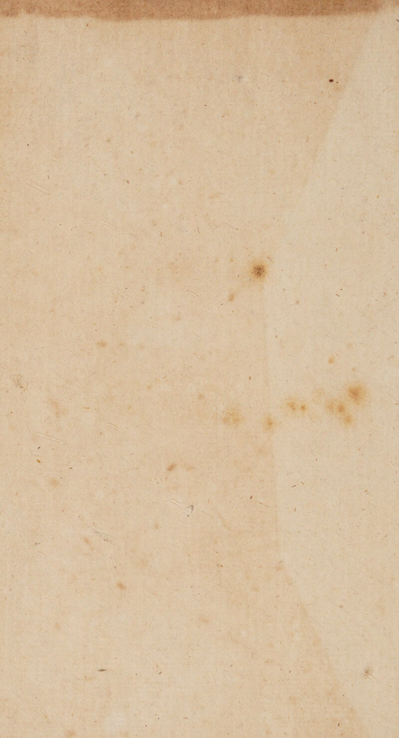 '. ' ■ .VÂ«fc< <1*