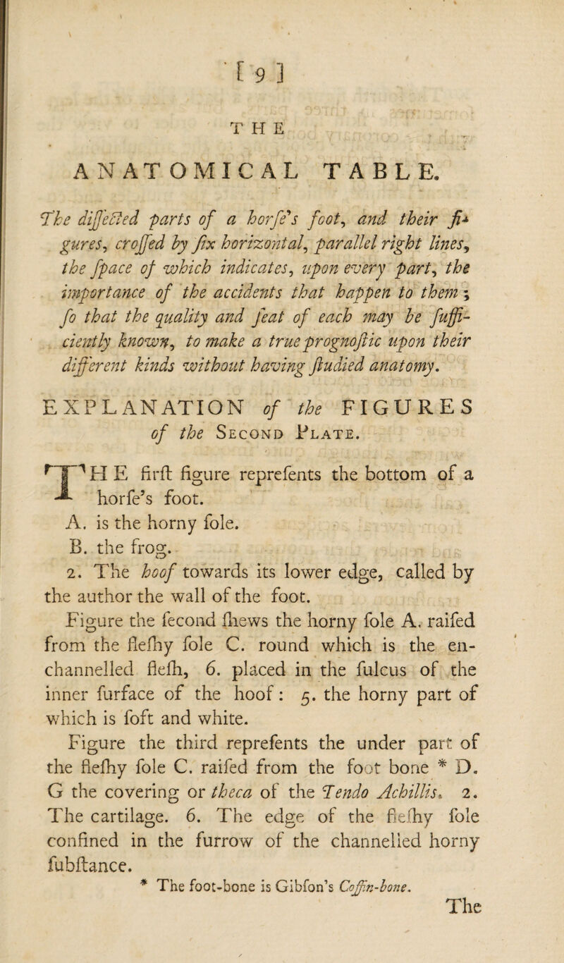 THE ANATOMICAL TABLE. The differed 'parts of a horfe s foot, and their fi* gures, crojfed by fix horizontal, parallel, right lines, the fpace of which indicates, upon every part, importance of the accidents that happen to them ; fo that the quality and feat of each may be fuffi- ciently known, to make a true prognoftic upon their different kinds without having ftudied anatomy. EXPLANATION of the FIGURES of the Second Plate. T1 H E firft figure reprefents the bottom of a horfe’s foot. A. is the horny foie. B. the frog. 2. The hoof towards its lower edge, called by the author the wall of the foot. Figure the fécond fliews the horny foie A. raifed from the flefhy foie C. round which is the en- channelled fiefh, 6. placed in the fulcus of the inner furface of the hoof : 5. the horny part of which is foft and white. Figure the third reprefents the under part of the flefhy foie C. raifed from the foot bone * D. G the covering or theca of the Tendo Achillis* 2. The cartilage. 6. The edge of the fielhy foie confined in the furrow of the channelled horny fubftance. * The foot-bone is Gibfon’s Coffin-bone. The