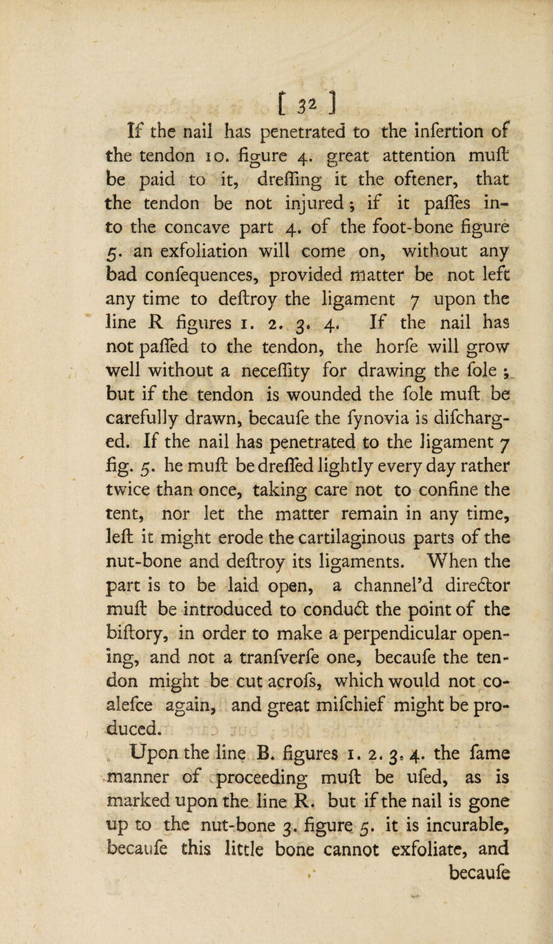 If the nail has penetrated to the infertion of the tendon 10. figure 4. great attention mull be paid to it, drefiing it the oftener, that the tendon be not injured ; if it pafles in¬ to the concave part 4. of the foot-bone figure 5. an exfoliation will come on, without any bad confequences, provided matter be not left any time to deftroy the ligament 7 upon the line R figures 1. 2. 3. 4. If the nail has not pafied to the tendon, the horfe will grow well without a neceffity for drawing the foie ; but if the tendon is wounded the foie mull be carefully drawn, becaufe the fynovia is difcharg- ed. If the nail has penetrated to the ligament 7 fig. 5. he mull be drefied lightly every day rather twice than once, taking care not to confine the tent, nor let the matter remain in any time, left it might erode the cartilaginous parts of the nut-bone and deftroy its ligaments. When the part is to be laid open, a channel’d dire6tor muft be introduced to conduét the point of the biftory, in order to make a perpendicular open¬ ing, and not a tranfverfe one, becaufe the ten¬ don might be cut acrofs, which would not co- alefce again, and great mifchief might be pro¬ duced. : : Upon the line B. figures 1. 2. 3, 4. the fame manner of proceeding muft be ufed, as is marked upon the line R. but if the nail is gone up to the nut-bone 3. figure 5. it is incurable, becaufe this little bone cannot exfoliate, and becaufe