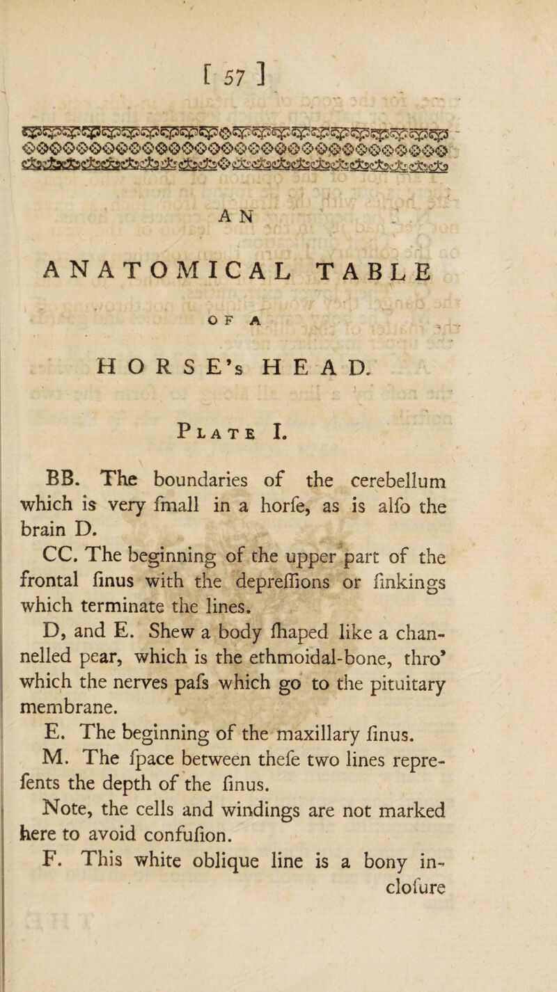 ANATOMICAL TABLE O F A HORSE’s HEAD. Plate I. BB. The boundaries of the cerebellum which is very fmall in a horfe, as is alfo the brain D. CC. The beginning of the upper part of the frontal finus with the depreflions or fmkings which terminate the lines. D. and E. Shew a body fhaped like a chan¬ nelled pear, which is the ethmoidal-bone, thro* which the nerves pafs which go to the pituitary membrane. E. The beginning of the maxillary finus. M. The fpace between thefe two lines repre- fents the depth of the finus. Note, the cells and windings are not marked here to avoid confufion. F. This white oblique line is a bony in- clofure