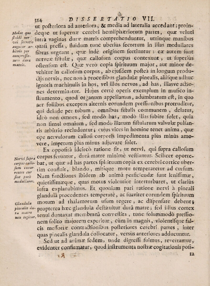 ?I4 T> 1 S S E R TATIO VIL ’ ut pofteriora ad anteriora, & media ad lateralia accedant; proin- Mdus quo deqoe ut lupernae cerebri hemilphxriorum partes, qux veluri fliidi mr |ntr^ vaalnas dure matris comprehenduntur, titrinque manibus ZgJlTar- quali prefla , fluidum tunc uberius fecretum in illas medullares bitrio per flbras urgeant , mx inde originem farciuntur ; ex autem liinc comprejfio- & - nem dura matris. nervex fitiulx , qux calloftmi corpus contexunt , ut fuperius oftenfum eft. Quae vero copia fpirituum major, aut minor de¬ vehitur in callofum corpus, abejufdem poftea in longum produ¬ ctis nervis, nec non a proce ilibus glandulas pinealis, aliifque adhuc ignotis machinalis in hos, vel illos nervos, ad has, illas ve. actio¬ nes determinatur. Hujus certe operis exemplum in mufico in- ftiumento, quod organum appellamus, adumbratum eft, in quo aer follibus' exceptus alternis eorundem preffionibus protruditur, qui dei a de per tubum , omnibus fiftulis communem , delatus, ideo non omnes, fed nrodb has, modo illas fubire folet, quia non fi mul omnium, fed modo illarum fiftularum valvulx pullan¬ tis arbitrio recluduntur i cujus vices in homine tenet anima , qux ope nervulorum callofi corporis impedimenta plus minus amo¬ vere, impetum plus minus adjuvare folet. Ex oppofica idcirco ratione fit, ut nervi, qui fupra callofum Nervi/upra corpus feruntur, dura. matre minime veftiamur. Scilicet oporte- corpus callo- hat, ut qux ad has parces fpirituum copia ex cerebri cortice uber- fom excur- t\m confluit, blando, mirique motu temperaretur ad curfum. TfintCSpiirl Nam fundiones ibidem ab anima perficiendas funt leniffimx, medullares. qUjefj{finixque, quas motus violentior interturbaret, ut clarius infra explanabimus. Et quoniam pari ratione nervi a pineali glandula procedentes temperare, ac (naviter eorundem fpirituum GU»duU motum ad thalamorum ufum regere , ac difpenfare debent* pinealis du~ propterea hxc glundufca deftituicur dura matre; fed illius cortex r* mtZ7wr tenui duntaxat membrana conveftita , tunc folummodo preffio- nem folito majorem experitur , cum in magnis, violentifque fal¬ cis me florite contradionibus pofteriores cerebri parres , inter quas pinealis glandula collocatur, versiis anteriores adducuntur. Sed ut ad animas fedem, unde digredi fuimus, revertamur, evidenter confirmatur, quod inftrumenta noftrx cogitationis pofi- cA - ta