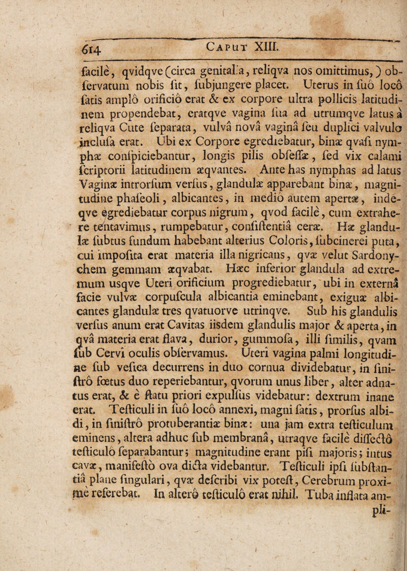 facile5 qvidqve(circa genitalia, reliqva nos omittimus,) ob- fervatum nobis fit, fubjungere placet. Uterus in fuo loco fatis amplo orificio erat & ex corpore ultra pollicis latitudi¬ nem propendebat, eratqve vagina fua ad utrumqve latus a reliqva Cute feparata, vulva nova vagina feu duplici valvulo inclufa erat. Ubi ex Corpore egrediebatur, binae qvafx nym¬ phae conlpiciebantur, longis pilis obfeffx, fed vix calami fcriptorii latitudinem seqvantes. Ante has nymphas ad latus Vaginae introrfum verfus, glandulae apparebant binas, magni¬ tudine phafeoli, albicantes, in medio autem apertae, inde- qve Egrediebatur corpus nigrum, qvod facile, cum extrahe¬ re tentavimus, rumpebatur, confidentia cerae. glandu¬ lae fubtus fundum habebant alterius Coloris,fubcinerei puta, cui impofita erat materia illa nigricans, qvas velut Sardony- chem gemmam aeqvabat. Haec inferior glandula ad extre¬ mum usqve Uteri orificium progrediebatur, ubi in externa facie vulvae corpufcula albicantia eminebant, exiguae albi¬ cantes glandulae tres qvatuorve utrinqve. Sub his glandulis verfus anum erat Cavitas iisdem glandulis major & aperta,in qva materia erat flava, durior, gummofa, illi fxmilis, qvam lub Cervi oculis oblervamus. Uteri vagina palmi longitudi¬ ne fub vefxca decurrens induo cornua dividebatur, in fxni- ftro foetus duo reperiebantur, qvorum unus liber, alter adna- tus erat, <& e ftatu priori expullus videbatur: dextrum inane erat. Tefticuli in fuo loco annexi, magni fatis, prorfus albi¬ di , in finiftro protuberanda: binae: una jam extra tefticulum eminens, altera adhuc fub membrana, utraqve facile difleclo tefticulo feparabantur; magnitudine erant pifx majoris; intus cavae, manifefto ova dicta videbantur. Tefticuli ipfx lubftan- tia plane fingulari, qvae deferibi vix poteft, Cerebrum proxi¬ me referebat. In altero tefticulo erat nihil. Tuba inflata am- - ■ . pl*-