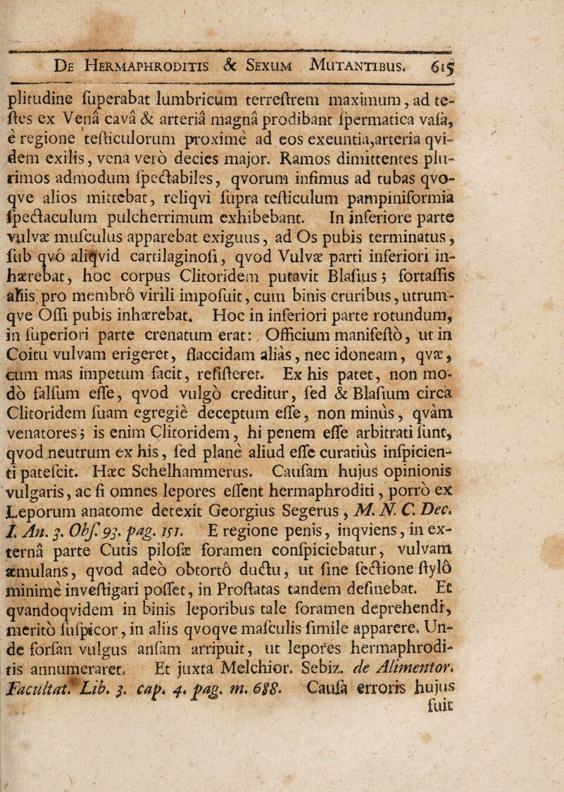 plitudine fuperabat lumbricum tcrreftrem maximum, ad te- ftes ex Vena cava & arteria magna prodibant Ipermatica vaia, e regione tefticulorum proxime ad eos exeuntia,arteria qvi~ dem exilis, vena vero decies major. Ramos dimittentes plu¬ rimos admodum fpettabiles, qvorum infimus ad tubas qvo- qve alios mittebat, reliqvi fupra tefiiculum pampiniformia fpedaculum pulcherrimum exhibebant. In inferiore parte yulvse mufculus apparebat exiguus, ad Os pubis terminatus, fub qvo aliq[vid cartilaginofi, qvod Vulvae parti inferiori in¬ haerebat, hoc corpus Clitoridem putavit Blafius 5 fortaffis aliis pro membro virili impofuit, cum binis cruribus, utrum- qve Ofii pubis inhaerebat* Hoc in inferiori parte rotundum, infuperiori parte crenatum erat: Officium manifefto, ut in Coitu vulvam erigeret, flaccidam alias, nec idoneam, qvae, cum mas impetum facit, refifieret. Ex his patet, non mo¬ do falfum effe, qvod vulgo creditur, fed & Blafium circa Clitoridem fuam egregie deceptum effe, non minus, qvam venatores > is enim Clitoridem, hi penem effe arbitrati funt, qvod neutrum ex his, fed plane aliud effe curatius infpicien- ti patefeit. Haec Schelhammerus. Caufam hujus opinionis vulgaris, ac fi omnes lepores effent hermaphroditi, porro ex Leporum anatome detexit Georgius Segerus , M. N. C\ Bec. I An. 3. Obf. 93. pag. 13 j. E regione penis, inqviens, in ex¬ terna parte Cutis pilofae foramen confpicicbatur, vulvam aemulans, qvod adeo obtorto duftu, ut fme fe$ione ftyIS minime inveftigari poffet, in Proflatas tandem defmebat. Et qvandoqvidem in binis leporibus tale foramen deprehendi, merito lufpacor, in aliis qvoqve mafculis fimile apparere* Un¬ de forfan vulgus anfam arripuit, ut lepores hermaphrodi¬ tis annumeraret, Et juxta Melchior. Sebiz. de Alimento?* Facultatf Lib* 3. cap* 4* gag. m. 6$8. Caufa erroris hujus fuit