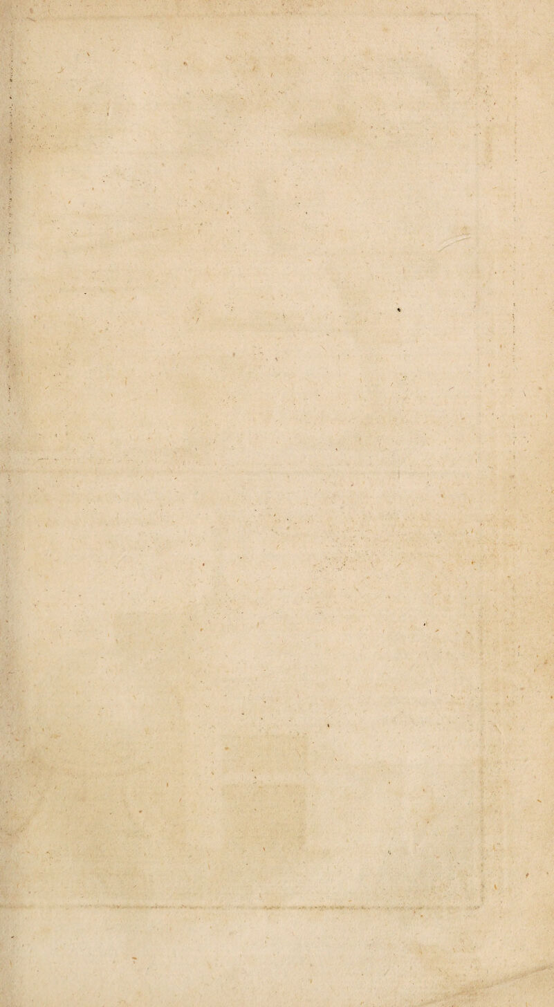 \ > ft / ( 1 , \ \ • t 5 V' vv - * l \ t