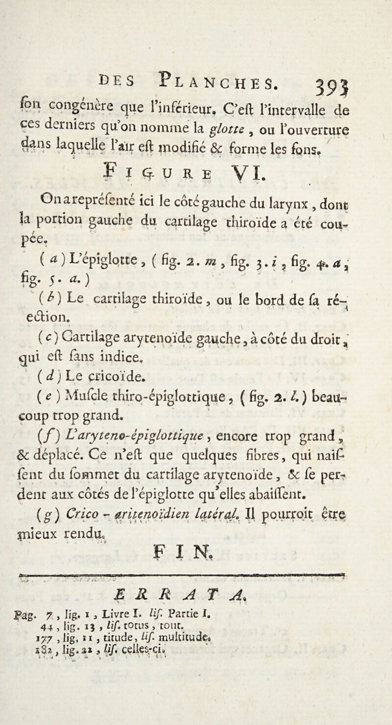 des Planches. 3^3 fon congénère que l’inférieur. Ç’eft l'intervalle de ces derniers qu on nomme la glotte } ou l’ouverture dutfs laquelle 1 air eft inodifié & forme les fon s. Figure VI. « m On a repréfente ici le côté gauche du larynx , dont la portion gauche du cartilage thiroïde a été cou*- pee, (a) L’épiglotte, ( fig. 2. » , fig. 3. *, fig. +. a, fig. 5. a.) - ' ; ( b ) Le cartilage thiroïde, ou le bord de fa ré- eélion0 (c) Cartilage aryténoïde gauche, à côté du droit a qui eft fans indice, ( d) Le cricoïde. ( e ) Mufcle thiro-épiglottique * ( fig, 2. L ) beau¬ coup trop grand, (f) ü ary teno-èpiglottique , encore trop grand * & déplacé. Ce n’eft que quelques fibres, qui naif* fènt du lomniet du cartilage aryténoïde , &: fe per? dent aux côtés de l’épiglotte qu’elles abaiftent. (g) Crico - aruenoïdien latéral» Il pourroit être mieux rendue FIN, ihjiwwimi inimi1—.minwiii 1  — ■ i m I lin urmm <?'a v ERRATA• Pag. 7 , Jig. i i Livre î. Hf Partie I. 44 , lig. 13 , lif• totus , tout. 177 , lig, 11, titude, üf mukitudeg s Si. lig, ai 3 lif* celles-ci»