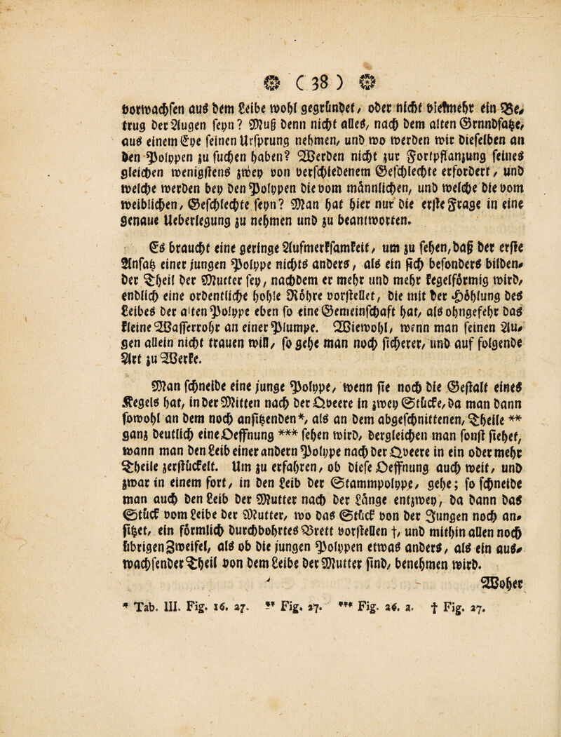 bortoacßfen aus Dem Salbe wohl gegr&nbet, ober nicßf bietauhr du $8e* trug Der2lugen fepn ? €0?ug Denn nicfK alles, nach Dem alten ©rnnDfaße, aus einem Spe feinen Urfprung nehmen, unD roo rnerDen wir DiefelDen an Den Rippen ju fließen haben? 2BerDen nicht jur Sortpflanjung feines gleichen wenigfienS jtoep oon oerfcßieDenem ©efcßlecßte erforDert, unD welche werben bep Den'PoIppen Dieuom männlichen, unb welche Die oom weiblichen, ©efcßlecßte fepn? SDlan ßat ßier nur Die ertfegrage in eine genaue Ueberlegung ju nehmen unD ju beamworfen. SS braucht eine geringe 2lufmerFfamFeit, um ju fehen,Dafj Der erfle SEnfaß einer jungen *ßoippe nichts anDers, ats ein jicß befonDerS bilDen* Der $ßeil Der SDIucter fep, nacßDem er mehr unD mehr Fegelfätmig wirb, enblicß eine orDentlicße hof>!e IRoßre Borjtellet, Die mit Der #6hiung Des Seibes Der aifen^>o!ppe eben fo eine@emetnfcßaft hat, alSobngefeßr Das fleineSßafferrohr an einer plumpe. SOßiewoßl, wenn man feinen 2iu, gen allein nießt trauen Win, fpgehe man noeß fießerer, nnb auf folgenDe Slrf ju^BerFe. -- •• 95?an fcßneiDe eine junge ^olppe, wenn fte noeß Die ©efialt eines Äegeis hat, in Der Bitten nach beröoeere in iwep©t&cfe,ba man Dann fowoßl an Dem noeß anjtßenDen*, als an Dem abgefeßnittenen, ^(jeile ** ganj Deutlich eineOejfnung *** faßen wirb, Dergleichen man fonfl fußet, wann man Den Selb einer anbern^olppe naeß Der öoeere in ein oDermeßc ^ßeile jerfUicfelt. Um ju erfahren, ob Diefe £>effnung auch weif, unD jwartn einem fort, in Dengeib Der ©tammpolppj;, geße; fo fcßneiDe man auch Den gelb Der SWutter nach Der Sänge entjwep, Da Dann Das <gjt&cE oom Seibe Der SKuffer, wo Das ©t&cF öon Der jungen noeß an# ftßet, ein förmlich Durchbohrtes Q3rett eorfleOent, unD mithin allen noeß übrigen Sweifel, als ob Die jungen ^olppen etwas anDerS, als ein aut* wacßfenDer^ßeii bon Dem £eibe Der Sßlutter jinD, benehmen wirb. 2Boßer * Tab. UI. Fig. i«. 37.  Fig. »7. Fig. 3«. a. f Fig. 37.