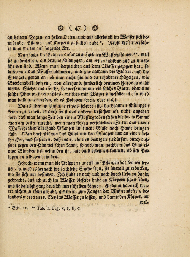 an heitern ^«gen? an gellen Orten, unD auf atterbanö im 2$affer pcb &«* pnDenDen ^Panjen unD Äorpern ju fuchen habe *♦ Sftebjl Olcfcn oerfab* re man weitet auf folgenbe 21 tt. 58?an fud;e Die Polypen anfangs aufgtünen SBöfferpffanjenweif pe an Denfelben, alö braune Älömpgen, am erpen pdjtbat unö ju unter* fcbelDen ftnD. S33enn man Dergleichen auö Dem 2Baffer gezogen bat; fo taffe man Das 2ßaffer ablaufen, unö fet)e alöDann Die SBlütter, unö Die ©tengel, genau an, ob man nidbt bi« unD Da erhabener-hügelgen, wie ©tecfenaöklEnöpfgen , t>on allerbanD, fonöetticb brauner, garbe gewahr werbe. (Siebet manfelcbe, fo werfe man nur ein folcbeö 33Iatt, ober eine foicbe ^Panje, in ein ©laö, welche# mit SBaffer angefüllet iff; fo wirb man balö inne werben, ob eö »Polypen feoen, ober nicht. ®a es aber im Sin fange etwa# fchwer ip, Die braunen Äiümpgett Fennen ju lernen, eö auch fonff auö anDern Urfachen oft nicht angeben witt, baf man lange geit bey einem QCBaffergraben (leben bteibf, feFümmt man am bepen jureebt, wenn man pcb ;u »erfcbieDenenfeiten auö einem Söaffergraben äDetbanD ^Jpanjen in einem Olafe nadb £aufe bringet) töf t. 5J?an Darf alöDann Daö ©taö mit Den ^Panjen nur an einen bei* len &tt,- unD fo pellen, baf man, ohne eö bewegen ;u Dürfen, Durch Daf*> felbe gegen Den>£>imrael feben Faun; fo wirb man, naebbem Daö ©saö ei* nige ©tunben Pitt gepanben ip, gar balb ernennen Eönnen, ob pcb 5>o*> tppen in felbigen bepnDen. 3eDoch/ wenn man Die Polypen nur erp auf^ffanten bat Fennen ler* neu, fo wirb eö bemach Die leichfePe ©ache feyn, pe überall ju erblicfen, wo pe pcb nur bepnDen. 3$ habe eö nach unD nach Durch Uebung Dabin gebracht, Daf? ich auch im -Kaffer Diefeibe habean Körpern p&en feben, unD pe öafelbp gan; Deutlich unterfcheiDen fönnen. SllöDann habe ich wei* ter nicht# ju tbun gehabt, alö mein, jum fangen Der SEBafferinfeFten, be* fonöerö jubereiteteö, 9Jebinö2Baffer ju laßen, unD DamitDen Jtürper, an