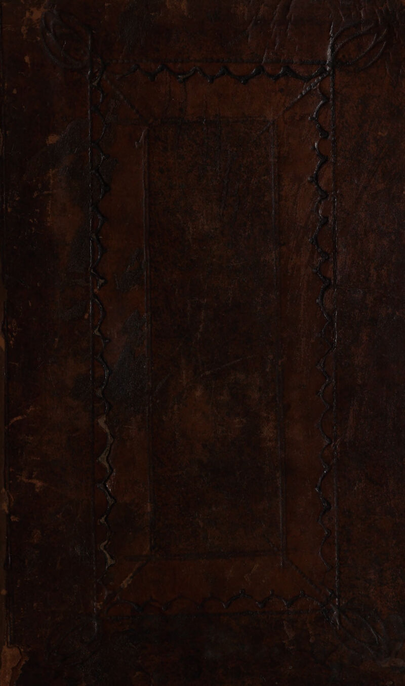 J ht ate = en | a 4 _ oA ae a! of 7 = he gt ge a a7 : ; es . + 3 ae oor re Sac .