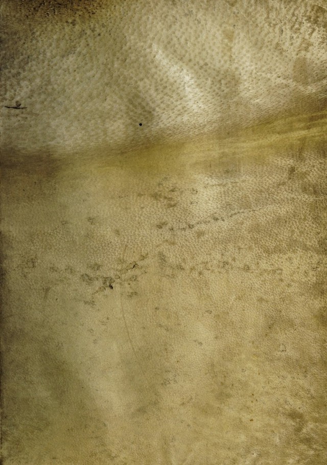digitised image 1