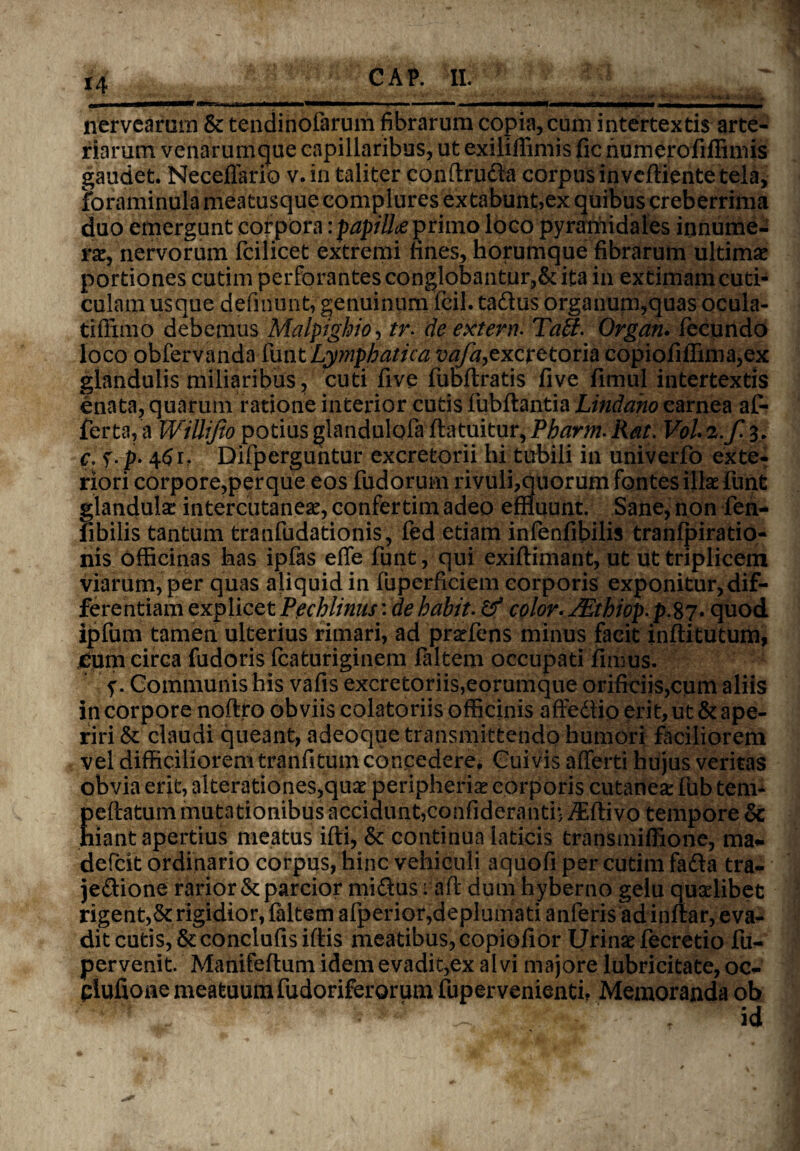 Mt B.7 j. ,» ' 14 nervearum & tendinofarum fibrarum copia, cum intertextis arte* riarum venarumque capillaribus, ut exiliffimis fic numerofiffimis gaudet. Neceflario v.in taliter conftruda corpus inveftiente tela, foraminula meatusque complures extabunt,ex quibus creberrima duo emergunt corpora :papill<je primo loco pyramidales innume¬ ra, nervorum fcilicet extremi fines, horumque fibrarum ultima portiones cutim perforantes conglobantur,&ita in extimam cuti¬ culam usque definunt, genuinum fcil. tadus organum,quas ocula- tiffimo debemus Malpighio, tr- de extern. Ta£f. Organ. fecundo loco obfervanda funt 'Lymphatica vafa, excretoria copiofiffima,ex glandulis miliaribus, cuti five fubftratis five fimul intertextis enata, quarum ratione interior cutis fubftantia Lindano carnea af¬ ferto, a Willijio potius glandulofa fla tuitur, Pharm. Rat. VoL z.f. 3. c. y.p. 4^r, Difperguntur excretorii hi tubili in univerfo exte¬ riori corpore,per que eos fudorum rivuli^quorum fontes illas funt glandulae intercutaneae, confertim adeo emuunt. Sane, non fen- fibilis tantum tranfudationis, fed etiam infenfibilis tranfpiratio- nis officinas has ipfas efle funt, qui exiftimant, ut ut triplicem viarum, per quas aliquid in fuperficiem corporis exponitur, dif¬ ferentiam explicet Pechlinus: de habit. & color- /Ethiop. p.87. quod ipfum tamen ulterius rimari, ad prafens minus facit inftitutum, £um circa fudoris fcaturiginem faltem occupati fimus. y. Communis his vafis excretoriis,eorumque orificiis,cum aliis in corpore noftro obviis colatoriis officinis affedio erit, ut & ape¬ riri & claudi queant, adeoque transmittendo humori faciliorem vel difficiliorem tranfitum concedere. Cuivis afferti hujus veritas obvia erit, alterationes,quae peripheriae corporis cutaneae fub tem- Eeftatum mutationibus accidunt,confiderahtr, /Efti vo tempore & iant apertius meatus ifti, & continua laticis transmiffione, ma- defeit ordinario corpus, hinc vehiculi aquofi per cutim fada tra- jedione rarior & parcior midus: aft dum hyberno gelu quaelibet rigent,St rigidior, faltem afperior,deplumati anferis adindar, eva¬ dit cutis, &conciufisiftis meatibus, copiofior Urinae fecretio fu- pervenit. Manifeftum idem evadit,ex alvi majore lubricitate, oo- plufioae meatuum fudoriferorum fupervenienti. Memoranda ob