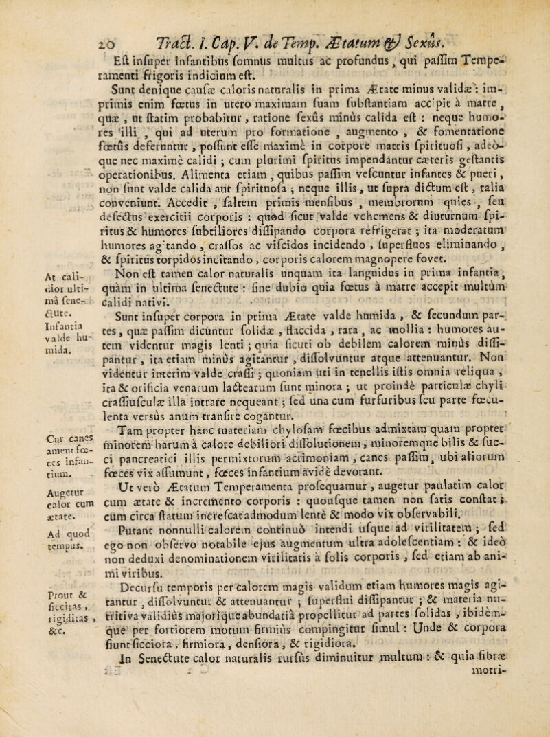 •> At cali¬ dior ulti¬ ma fene- &ute. Infantia valde hu- mida. Cur canes ament foc¬ ces infan¬ tium. Augetur calor cum aetate. Ad quod tempus. Prout Sc ficcitas » rigiditas , &c. zo TrdEl. /. Cap. V. de Ternp. /Etdtum (%J Sexus. Eft infuper infantibus fomnus multus ac profundus, qui paffitn Tempe¬ ramenti frigoris indicium eft. Sunt denique caufas caloris naturalis in prima Jitate minus validas': im¬ primis enim foetus in utero maximam fuam fubftantiam acc pic a matre, quas , ut ftatim probabitur, ratione fexus minus calida eft : neque humo¬ res illi , qui ad uterum pro formatione , augmento , &C fomentatione foetus deferuntur , poflunt efle maxime in corpore matris fpirituofi , adeo- que nec maxime calidi ; cum plurimi fpiritus impendantur ca:teris geftantis operationibus. Alimenta etiam 5 quibus paffirn vefcuntur infantes & pueri, non funt valde calida aut fpirituofa ; neque illis, uc fupra di&um eft , talia conveniunt. Accedit , falcem primis menfibus , membrorum quies , feu defecftus exercitii corporis : quod ficut valde vehemens & diuturnum fpi¬ ritus & humores fubtiliores diflipando corpora refrigerat; ita moderatum humores agtando , craflos ac vifeidos incidendo , lu perfidos eliminando , & fpiritus torpidos incitando , corporis calorem magnopere fovet. Non eft tamen calor naturalis unquam ita languidus in prima infantia, quam in ultima fene&ute : fine dubio quia foetus a matre accepit multum calidi nativi. Sunt infuper corpora in prima ^Etate valde humida , & fecundum par¬ tes, quas paffirn dicuntur folidas , flaccida , rara , ac mollia : humores au¬ tem videntur magis lenti ; quia ficuti ob debilem calorem minus di(fi- pantur , ita etiam minus agitantur , diflolvuntur atque attenuantur. Non videntur interim valde crafli 5 quoniam uti in tenellis iftis omnia reliqua , ita Sc orificia venarum ladtearum funt minora ; ut proinde particulas chyli crafliufculas illa intrare nequeant j fed una cum furfuribus feu parte faecu¬ lenta versus anum tranfire cogantur. Tam propter hanc materiam chylofam foecibus admixtam quam proptec minorem harum a calore debiliori diflolutionem, minoremque bilis & fuc- ci pancreatici illis permixtorum acrimoniam , canes paffirn, ubi aliorum faeces vix alfumunt, faeces infantium avide devorant* Uc vero Statum Temperamenta profequamur , augetur paulatim calor cum astate & incremento corporis : quoufque tamen non fatis conftat i cum circa ftatutn increfcac admodum'lente & modo vix obfervabiii. Putant nonnulli calorem continuo intendi ufque ad virilitatem j fed ego non ob fervo notabile ejus augmentum ultra adolefcentiam : & ideo non deduxi denominationem virilitatis a folis corporis , fed etiam ab ani¬ mi viribus. Decurfu temporis per calorem magis validum etiam humores magis agi¬ tantur , diflolvuntur &C attenuantur \ fuperflui diffipantut ; & materia nu- tritiva validius majoriqueabundatia propellitur ad parces folidas , ibidem- que per fortiorem motum firmius compingitur fimul : Unde & corpora fiunt ficciora , firmiora , denfiora , &C rigidiora. In Sene&ute calor naturalis rurfus diminuitur multum : & quia fibras ; Z , i : motri-