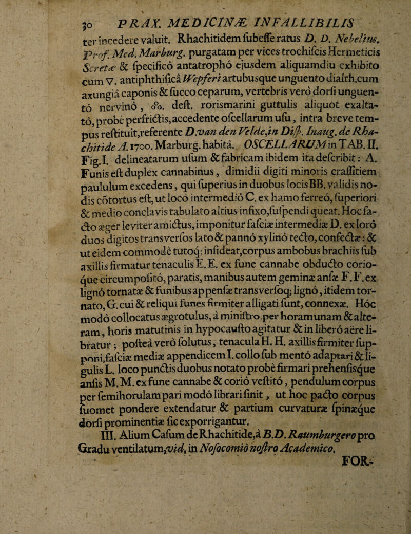 ter incedere valuit. Rhachitidemfubeffe ratus D. D. Nebeliw. Frof Med. Marburg. purgatam per vices trochileis Hermeticis Scret<e & fpecifico antatropho ejusdem aliquamdiu exhibito cum V. antiphthifica IVepferi artubusque unguento dialth.cum axungia caponis & fucco ceparum, vertebris vero dorfi unguen¬ to nervino, oPo. deft. rorismarini guttulis aliquot exalta¬ to, probe perfridis, accedente ofcellarum ufu, intra breve tem¬ pus reftituit,referente D.van den Veldejn Di/b. Inaug. de Rha~ chitide A. 1700. Marburg. habita. OSCELLARUM in TAB. If. Fig.I. deiineatarum ufum & fabricam ibidem ita deferibit: A. Funis eftduplex cannabinus, dimidii digiti minoris craffitiem paululum excedens, qui (uperius in duobus locisBB. validis no¬ dis cotortus eft, ut loco intermedio C. ex hamo ferreo, fuperiori & medio conclavis tabulato altius infixo,fufpendi queat. Hoc fa- do seger leviter am idus, imponitur fafeiae intermediae D. ex loro duos digitos trans verlos lato & panno xylino tedo, confeda;: Sc ut eidem commode tutoq; infideat,corpus ambobus brachiis fub axillis firmatur tenaculis E. E. ex fune cannabe obdudo corio¬ que circumpofito, paratis, manibus autem gemina? anfae F. F. ex ligno tornatae & funibus appenlae trans verfoq; ligno, itidem tor¬ nato, G. cui & reliqui funes firmiter alligati funt, connexae. Hoc modo collocatus aegrotulus, a miniftro-per horam unam &alte- 7 ram, horis matutinis in hypocaufto agitatur & in libero aere li¬ bratur ; pofteaverofolutus, tenaculaH. H. axillis firmiter fup- pnnijafciz mediae appendicem I. collo fub mento adaptari & li¬ gulis L. loco pundis duobus notato probe firmari prehenfisque anfis M. M. ex fune cannabe & corio veftito, pendulum corpus per femihorulam pari modo librari finit, ut hoc pado corpus fuomet pondere extendatur & partium curvaturae fpinaeque dorfi prominentiae fic exporrigantur. III. Alium Cafum de Rhachitide,a B.D. Raumburgcro pro Gradu ventilatum,'!^, in Nofocomzd nojlro Academico. FOR- 1