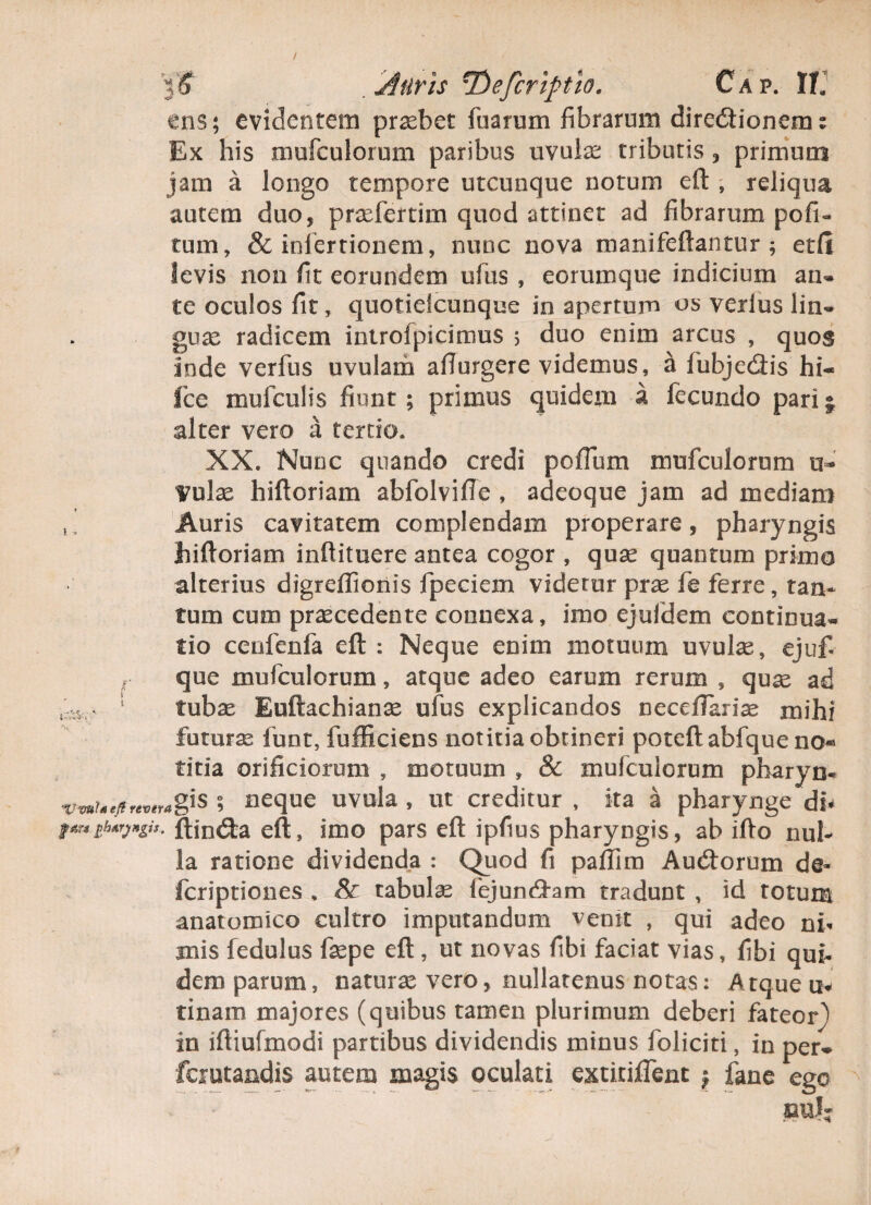 ens; evidentem probet fuarum fibrarum direflioneme Ex his mufculorum paribus uvufe tributis , primum jam a longo tempore utcunque notum eft , reliqua autem duo, praefertim quod attinet ad fibrarum poli¬ tum, & inlertionem, nunc nova manifeftantur ; etH levis non fit eorundem ufus , eorumque indicium an* te oculos fit, quotielcunque in apertum os verius lin¬ guas radicem introfpicimus ; duo enim arcus , quos inde verfus uvulam afiurgere videmus, a fubjecftis hi- Ice mufculis fiunt; primus quidem a fecundo pari; alter vero a tertio. XX. Nunc quando credi polium mufculorum u- Vulx hiftoriam abfolville , adeoque jam ad mediam , ’ Auris cavitatem complendam properare , pharyngis hiftoriam inftituere antea cogor , quas quantum primo alterius digrelfionis fpeciem videtur prae fe ferre, tan* tum cum praecedente connexa, imo ejufdem continua¬ tio cenfenfa eft : Neque enim motuum uvulae, ejufi que mufculorum, atque adeo earum rerum , quae ad 1 tubae Euftachianas ufus explicandos neceflariae mihi futurae funt, fufficiens notitia obtineri poteftabfqueno® titia orificiorum , motuum , & mufculorum pharyn* ■vvuUeftreveragis % neque uvula , ut creditur , ita a pharynge dn ftincfta eft, imo pars eft ipfius pharyngis, ab ifto nul¬ la ratione dividenda : Quod fi palfim Aucftorum de- fcriptiones , & tabulae fejuncftam tradunt , id totum anatomico cultro imputandum venit , qui adeo ni* mis fedulus faepe eft, ut novas fibi faciat vias, fibi qui¬ dem parum, naturae vero, nullatenus notas: Atque u* tinam majores (quibus tamen plurimum deberi fateor) in iftiufmodi partibus dividendis minus foliciti, in per» fcmtandis autem magis oculati extitiffent $ fane ego mh