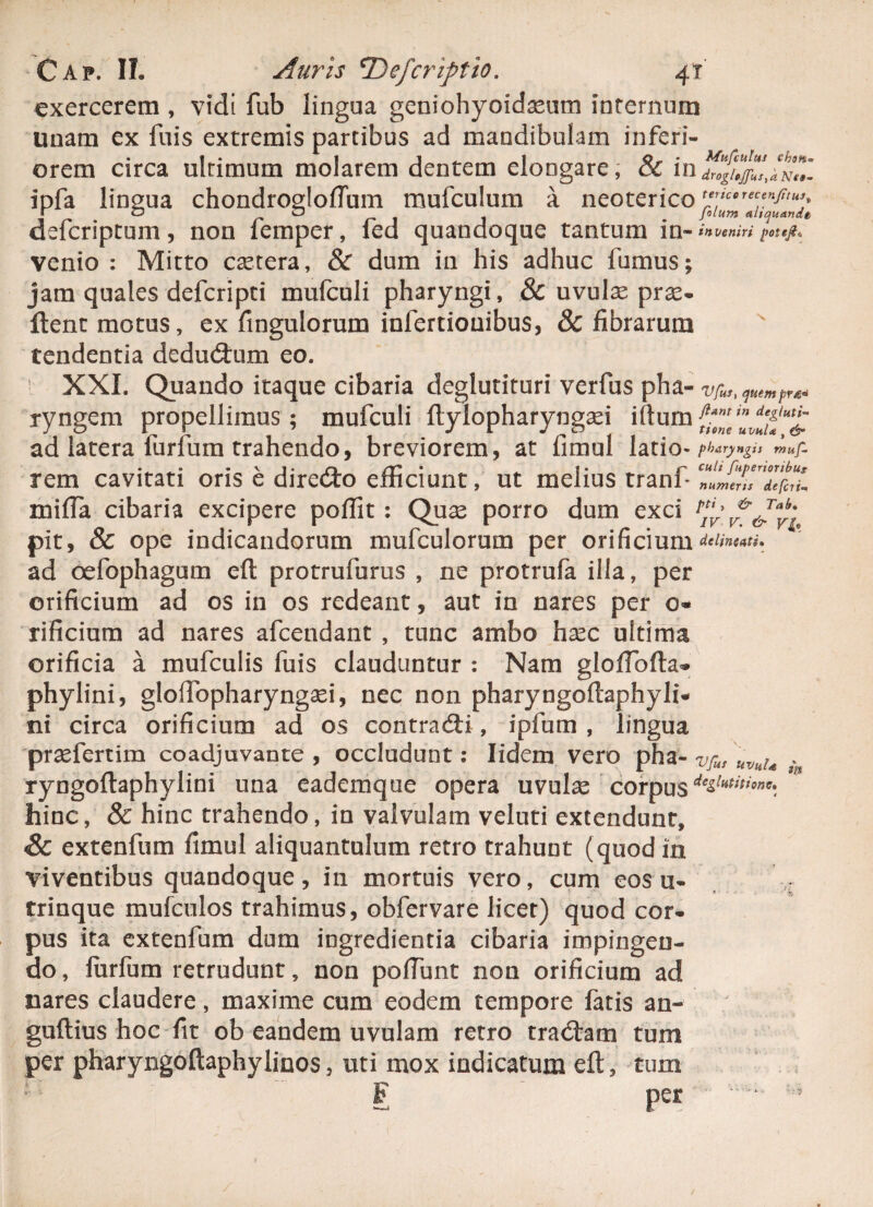 exercerem , vidi fub lingua geniohyoideum infernum unam ex fuis extremis partibus ad mandibulam inferi¬ orem circa ulrimum molarem dentem elongare, & in ipfa lingua chondrogloflum mufculum a neoterico tericorec^m I . c /' 0 r 1 , ^ Jolum ahquandt delcriptum, non lemper, led quandoque tantum in-*# veniri potejl» venio : Mitto cetera, 8c dum in his adhuc fumus; jam quales defcripti mufculi pharyngi, & uvule pre- ftenr motus, ex fingulorum infertiouibus, 8c fibrarum tendentia dedudum eo. XXL Quando itaque cibaria deglutituri verfus pha- Vfa ryngem propellimus; mufculi llylopharyngei iftum^tnu^ut^ ad latera furfum trahendo, breviorem, at fimul latio* pharyngi i muf- • • • v j • r» nf' • ^ 1 • c culi fuperioribus rem cavitati oris e diredo efficiunt, ut melius tranf defaim milia cibaria excipere polfit : Que porro dum exci ^ ^ pit, & ope indicandorum mufculorum per orificium delimati» ad oefophagum eft protrufurus , ne protrufa illa, per orificium ad os in os redeant, aut in nares per o* rificium ad nares afcendant , tunc ambo hec uitima orificia a mufculis fuis clauduntur : Nam glolTofta* phylini, glofiopharyngei, nec non pharyngoftaphyli* ni circa orificium ad os contradi, i pium , lingua prefertim coadjuvante, occludunt: lidcm vero pha- vfufUvuu 3n ryngoftaphylini una eademque opera uvule corpus d€illititionc\ hinc, & hinc trahendo, in valvulam veluti extendunt, Sc extenfum fimul aliquantulum retro trahunt (quod in viventibus quandoque, in mortuis vero, cum eos u- : trinque mulculos trahimus, obfervare licet) quod cor¬ pus ita extenfum dum ingredientia cibaria impingen¬ do , furfum retrudunt, non poliunt non orificium ad nares claudere, maxime cum eodem tempore fatis an- guftius hoc fit ob eandem uvulam retro tradam tum per pharyngoftaphylinos, uti mox indicatum eft, tum F per “ *