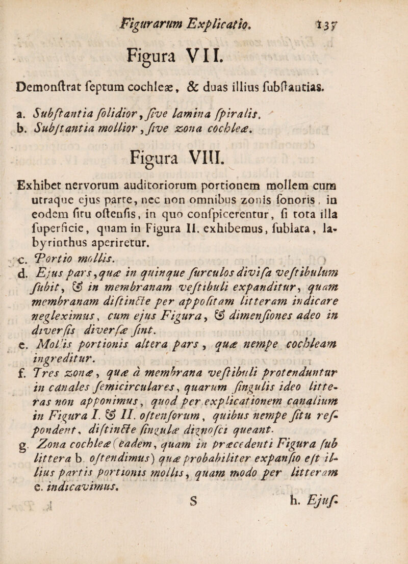 CL f ^ \ 'j y Figura VII. Demonftrat feptum cochlese, & duas illius fubfiautias. a. Subftantia [olidior ,[ve lamina [piratis, b. Subjtantia mollior .>five zona cochlea. Figura VIII. Exhibet nervorum auditoriorum portionem mollem cum utraque ejus parre, nec non omnibus zonis fonoris, ia eodem firu oftenfis, in quo confpicerentur, fi tota illa fuperficie, quam in Figura II. exhibemus, fublata, la¬ byrinthus aperiretur. . Fortio mollis. > . Ejus pars ^qua in quinque [ur culos divi fa ve/tibulum [ubit, S) in membranam veftibuli expanditur, membranam diftintte per appo Citam litteram in dic are negleximus, ejus Figura, © dimenjiones adeo in diverfis diverte fint. e. Mollis portionis alttra pars, nempe cochleam ingreditur. f. 7~w zon<e, qu<e d membrana ve[tibnli protenduntur in canales femicirculares, quarum fingulis ideo litte- ras non apponimus, quod per explicationem canalium in Figura I. & II, o/tenforum, quibus nempe [itu re[ pondent, diftinfte (inculte digno fc i queant. g. cochlea (eadem, quam in procedenti Figura fub littera b offendimus) quo probabiliter expanfio eft il¬ lius partis portionis mollis, quam modo per litteram e. indicavimus. 1 S h.