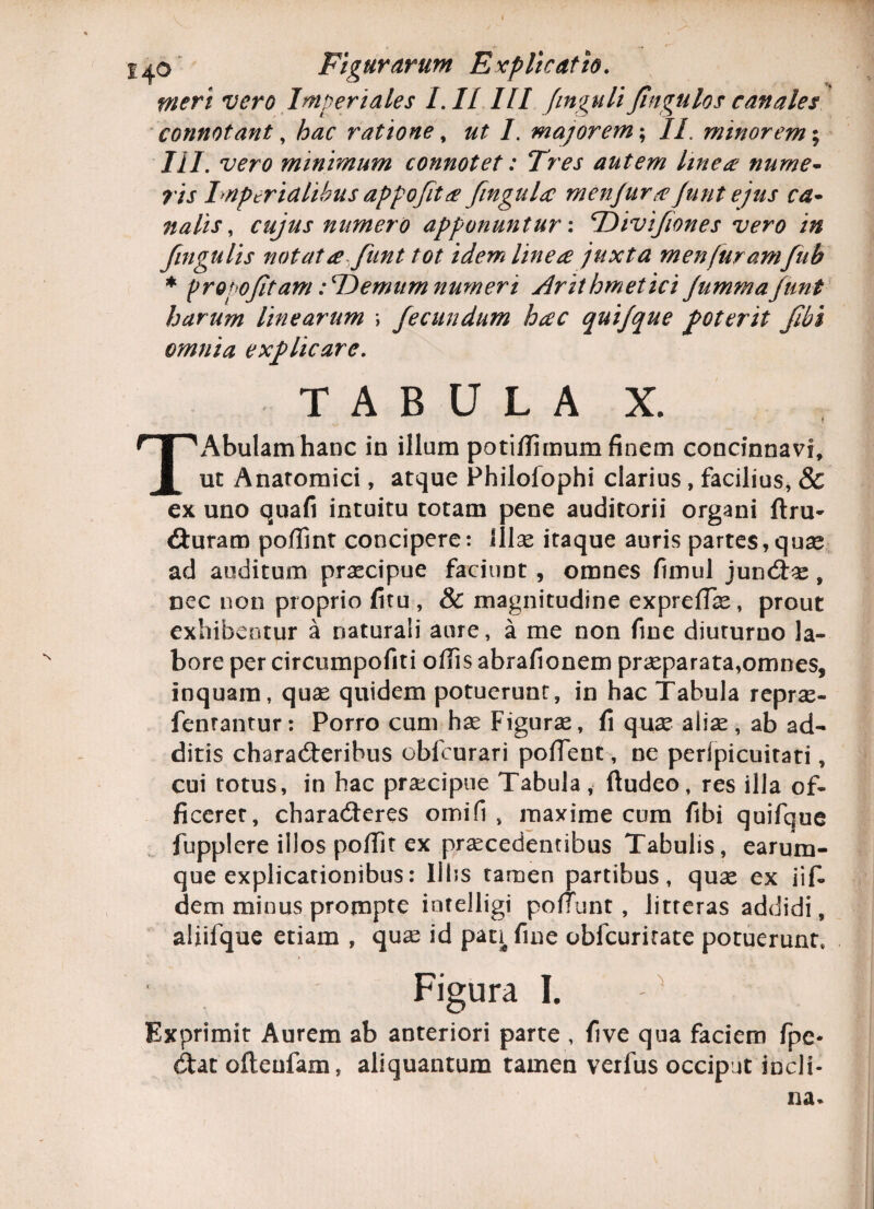 meri vero Imperiales I. IIIII finguli fingulos canales connotant, hac ratione, ut I. majorem; IT minorem; III. wro minimum connotet: Tres autem Ime a nume- rts Imperialibus appofitce fingulce menjurceJunt ejus ca- nalis, cujus numero apponuntur: TTivifiones vero in fingulis notat afunt tot idem line ce juxta menfuramfub * propofitam iTIemurn numeri Arithmetici Jummafunt harum linearum \ fecundum hac quifque foterit fibi omnia explicare. TABULA I TAbulamhanc in illum potiflimum finem concinnavi, ut Anatomici, atque Philofophi clarius, facilius, & ex uno quafi intuitu totam pene auditorii organi flru* Ciuram pofiint concipere: illas itaque auris partes,quas ad auditum prascipue faciunt , omnes ftmul junCtas, nec non proprio fitu , & magnitudine expreffas, prout exhibentur a naturali aure, a me non fine diuturno la¬ bore per circumpofiti offis abrafionem prasparata,omnes, inquam, quas quidem potuerunt, in hac Tabula repras- fentantur: Porro cum has Figuras, fi qux alias, ab ad¬ ditis characteribus oblcurari pollent, ne perlpicuitati, cui totus, in hac praxipue Tabula, fludeo, res ilia of¬ ficeret, charaCteres omifi , maxime cum fibi quifque fupplere illos poffit ex praecedentibus Tabulis, earum- que explicationibus: Illis tamen partibus, quas ex iifi dem minus prompte intelligi poliunt, litteras addidi, aliifque etiam , quas id pau fine obfcuritate potuerunt. Figura I. Exprimit Aurem ab anteriori parte , fi ve qua faciem fpe* Ctat oficulam, aliquantum tamen verfus occiput incli¬ na*