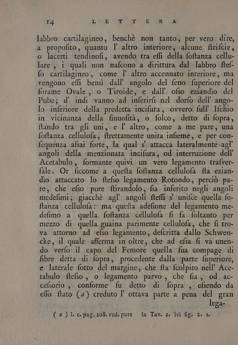 r4 L'AGE (IRE LARO labbro cartilagineo, benchè non tanto, per vero. dire, a propofito, quanto Î altro interiore, ulbline ftrifcie, o lacerti itendinofi, avendo tra eflì della foftanza cellu- lare), 1 ‘quali. non nafcono a dirittura dal. labbro ftef- fo cartilagineo, come l altro accennato interiore, ma vengono efli bensì dall’ angolo del feno fuperiore del ine Woale Niro) Topi e dall’ ofso eziandio del Pube; id’. indi \vanno ad inferirfi nel dorfo dell’ ango- lo inferiore della predetta incifura., ovvero: full’ Ifchio in vicinanza della finuofità, o folco, detto di fopra, ftando tra gli uni, e l' altro, come a me pare, una foftanza cella log {trettamente unita infiemé, e per con- fequenza. afsal forte, la qual s attacca lateralmente -agl angoli della menzionata incifura, od interruzione dell Acetabulo, formante quivi un citi legamento trafver- fale. Or ficcome a quefta foftanza cellulofa fa ezian- dio attaccato lo ftefso legamento Rotondo, perciò pa- re, che ‘efso ‘ pure firamdoliba fia. inferito negli angoli medefimi ;. giacchè agl’ dfigoli ftefli (s unifce quella fo- ftanza! cellulofa: ma: quefta adefione del legamento me- defimo a quella foftanza cellulofa &amp; fa foltaneò per mezzo di quella guaina parimente cellulofa, che fi tro- va attorno ad ‘efso legamento, defcritta dallo Schwen- cke, il quale afferma in oltre, che ad efsa fi va unen- do verfo: il capo del Vemote quella fua compage di fibre detta :di fopra, procedente dalla “parte fuperiore, e laterale fotto del margine, che fta fcolpito nell’ Ace- tabulo ftefso , o legamento parvo , che fia, od ac- cefsorto , conforme fu detto di fopra , efsendo da elo ftato (4) creduto È ottava parte a pena del der