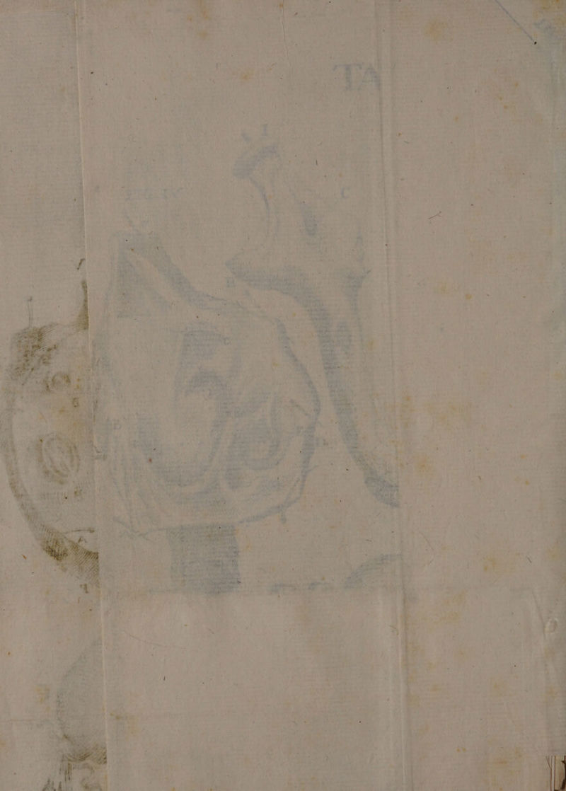 2a TARGA ei MEV L'AM rari RE toe