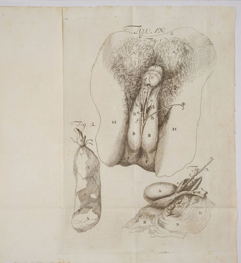 lado] fn ANT ti e (1) Ì \ CDA i) \ \ ZA sf A 1} IN IZ E = N° ) A n ESSO == rese LA CA rs TT ro [ILA UL LI . d è» È NN CES SS È < a = pi È on ani Te lA pti il” Va) nre s r—_——————— Fai din