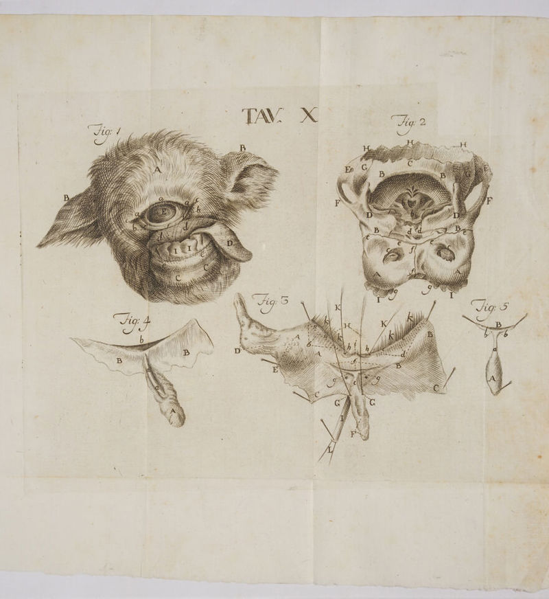 VA | i ta 7, ) \) Ù :) di SS = SÒ S SS N [a SN UZIZOII 7) ty ni) PIIZZZZALII Pub CZITZLIZA