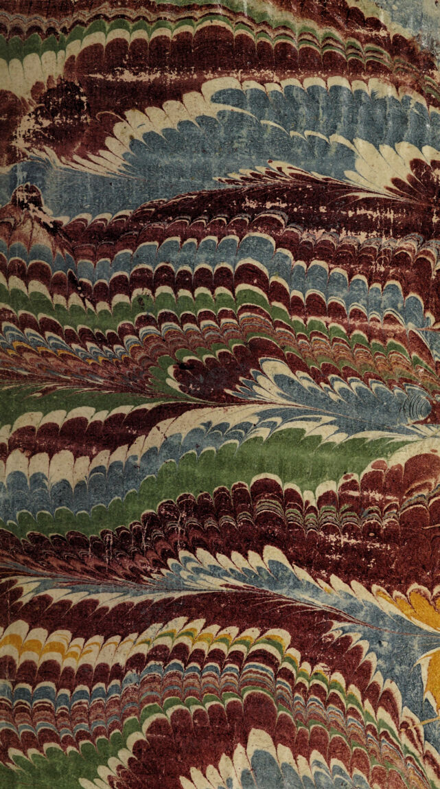 No text description is available for this image