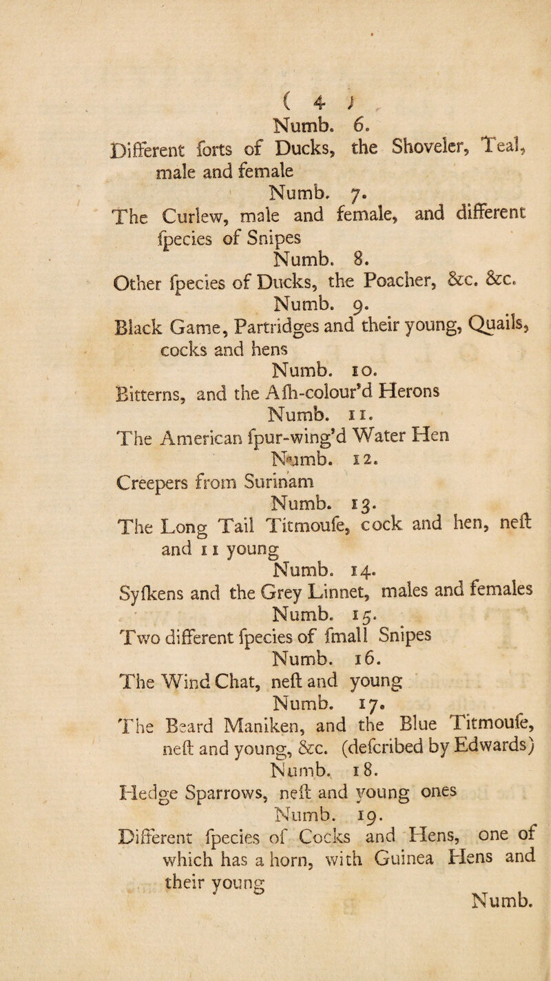 Numb. 6. Different forts of Ducks, the Shoveler, Teal, male and female Numb. y. The Curlew, male and female, and different fpecies of Snipes Numb. 8. Other fpecies of Ducks, the Poacher, &c. &c. Numb. 9. Black Game, Partridges and their young, Quails, cocks and hens Numb. 10. Bitterns, and the A lb-colour*d Herons Numb. 11. The American fpur-wing’d Water Hen Numb. 12. Creepers from Surinam Numb. 13. The Long Tail Titmoufe, cock and hen, neft and s i young Numb. 14. Syfkens and the Grey Linnet, males and females Numb. 15. Two different fpecies of final 1 Snipes Numb. 16. The Wind Chat, neft and young Numb. 17. The Beard Maniken, and the Blue i itmoufe, neft and young, &c. (defended by Edwards) Numb. 18. Hedge Sparrows, neft and young ones Numb. 19. Different fpecies of Cocks and Plens, one of which has a horn, with Guinea Hens and their young