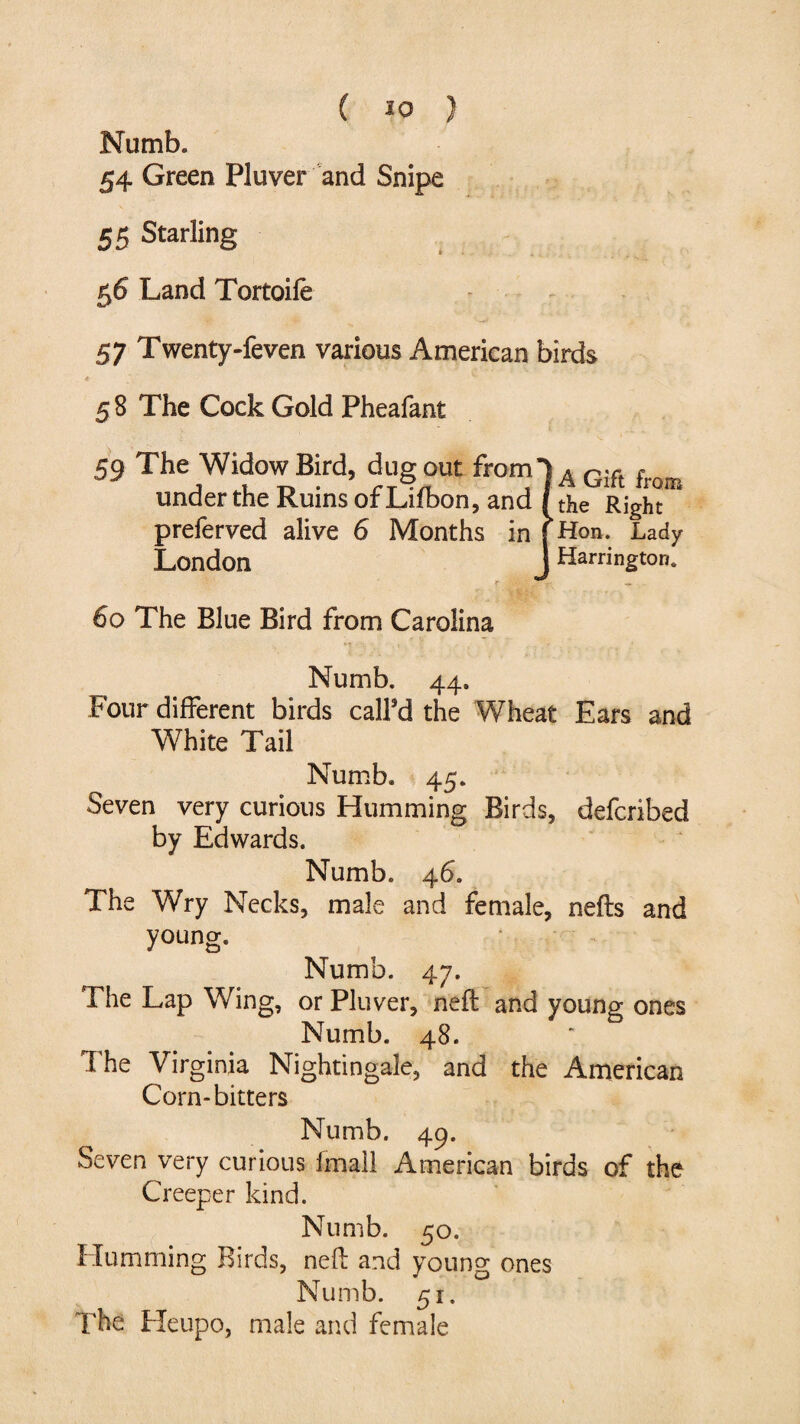 ( 50 ) Numb. 54 Green Pluver and Snipe 55 Starling 56 Land Tortoife 57 Twenty-feven various American birds , « 5 8 The Cock Gold Pheafant 59 The Widow Bird, dug out from-jAG;f. frnm under the Ruins of Lifbon, and (the Right preferved alive 6 Months in {Hon. Lady London J Harrington. 60 The Blue Bird from Carolina Numb. 44. Four different birds calFd the Wheat Ears and White Tail Numb. 45. Seven very curious Humming Birds, defcribed by Edwards. Numb. 46. The Wry Necks, male and female, nefls and young. Numb. 47. The Lap Wing, or Pluver, neft and young ones Numb. 48. The Virginia Nightingale, and the American Corn-bitters Numb. 49. Seven very curious fmall American birds of the Creeper kind. Numb. 50. Humming Birds, nefb and young ones Numb. 51. The Heupo, male and female