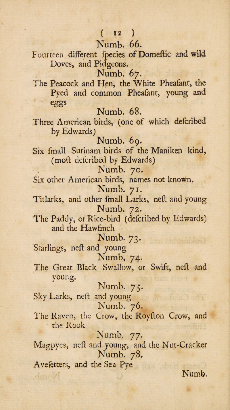 Numb. 66. Fourteen different fpecies ofDomeftic and wild Doves* and Pidgeons. Numb. 67. The Peacock and Hen, the White Pheafant, the Pyed and common Pheafant, young and eggs Numb. 68. Three American birds, (one of which defcribed by Edwards) Numb. 69. Six fmall Surinam birds of the Maniken kind, (mod defcribed by Edwards) Numb. 70. Six other American birds, names not known. Numb. 71. Titlarks, and other fmall Larks, neft and young Numb. 72. The Paddy, or Rice-bird (defcribed by Edwards) and the Hawfinch Numb. 73. Starlings, neft and young Numb, 74. The Great Black Swallow, or Swift, neft and young. Numb. 75. Sky Larks, neft and young Numb. 76. The Raven, the Crow, the Royfton Crow, and ' the Rook Numb. 77. Magpyes, neft and young, and the Nut-Cracker Numb. 78. AveTetters, and the Sea Pye