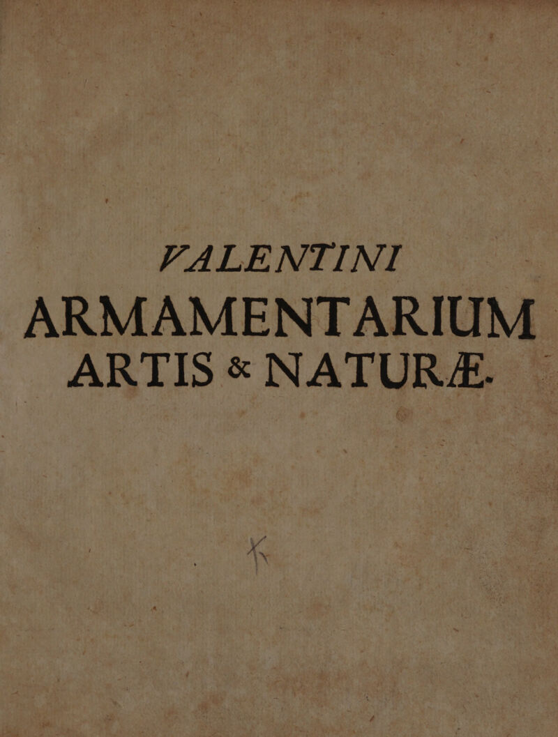 FVALENTINI ARMAMENTARIUM. ARTIS&amp;NATURE -