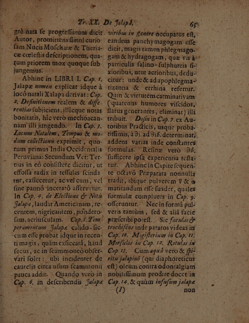 s jungemus. ^^: -Abhinc in LIBRI L Cp. r. bonitatis, hicveroó mechoacan- Locum Natalem , Teovpus &amp; mo- fine pannó incerató afferyctur. In Cap. 4. de Flectione cr INotis Salapa , laudat Ameticanam , rc- centem, nigricantem, poadeto- peramentum | jalapa. calido-- fic- timagis, quàm exficcatd, haud £C ] P1 p Pe. ov viribus in fib &amp;ccupátüs eft: eandem panchymagogam: effe dicit, magis tamen phlegmago- : particulis falino- falphureis fi-: xioribus, utut acrioribui, dedü-- citur: unde &amp; adapophlegma- Quin &amp; virtutem carminativam : flatus generantes, eliminar) illi tribuit. - Dofrzin Cap. 7. ex Au- toribus Pra&amp;icis, usquc proba- s. tiffimis, 9j. ad 9i8. determinat;. addens varias inde conftantes fufficere ipfa experientia tefta: tut. Abhincia Capite (equeá- te octavó Praeparata nonnülla tradit, ibique pulverem ? &amp; o formule complures: in Cap. 9. veris tantüm , fed &amp; aliá facie Cap. 19. Misgifferinsm i in Cap. 11. Morfilas ia Cap. 12. Rotulas fn Cap... Cum2444 veto &amp; ffi-. rita jalapinó (qui diaphoreticus nobiliffimum prodire docct ia [v T I4. &amp; koe infufzep jalape — xd 62 ud non -