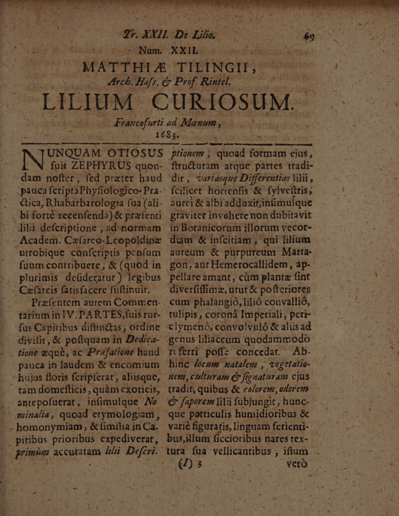 à | Brancofurti ad. Manum , ji a e À remo 1683. r T utm TUNQUAM OTIOSUS ptionem quoad formam ejus, - fuit ZEPHYRUS quon- ftrü&amp;uram atque partes tradi- dud nofter, fed prater haud dir, variasque Differentia: Vilii , Xe; Rhabarbarologia fua (ali- aurei &amp; albi addaxit,infimulque . bi forté recenfenda) &amp; prafenti Btaviter invehere non dubitavit dili defcriptione , ad.normam | in Botanicorum illorum vecor- utrobique. confcriptis penfum aureum &amp; pürpureum. Marta- fuum contribuere; &amp; (quod in. gon. aüt Hemerocallidem, ap- , plurimis deüderatur legibus pellare amant, cüm plantz fint . Ca(areis fatisfacere fuftinuit. — diverfiffi mz, utut &amp; pofteriores Prefentem autem Commen. cum phalangió, lilió convallió, fus Capitibus diftindas, ordine clymenó, convolvnló &amp; aliisad divifit, &amp; poftquam in Dedica- genus liliaccum quodammodo . tione zqu&amp;, ac Prafatione haud | rcferri poffz. concedat. Ab. -hujus floris fcripferat; aliisque, - nen, culturam (Qr ff Jfgaaturaim cjus tam domefticis , quàm cxoricis, tradit, quibus &amp; celoren, odorem ' sminalia, quoad etymologiam, que particulis humidioribus &amp; I. history &amp; fimilia in Ca. varié figuratis, linguam fcrienti- ., pitibus prioribus 'expediverat, busjllum ficcioribus nares tex- ES