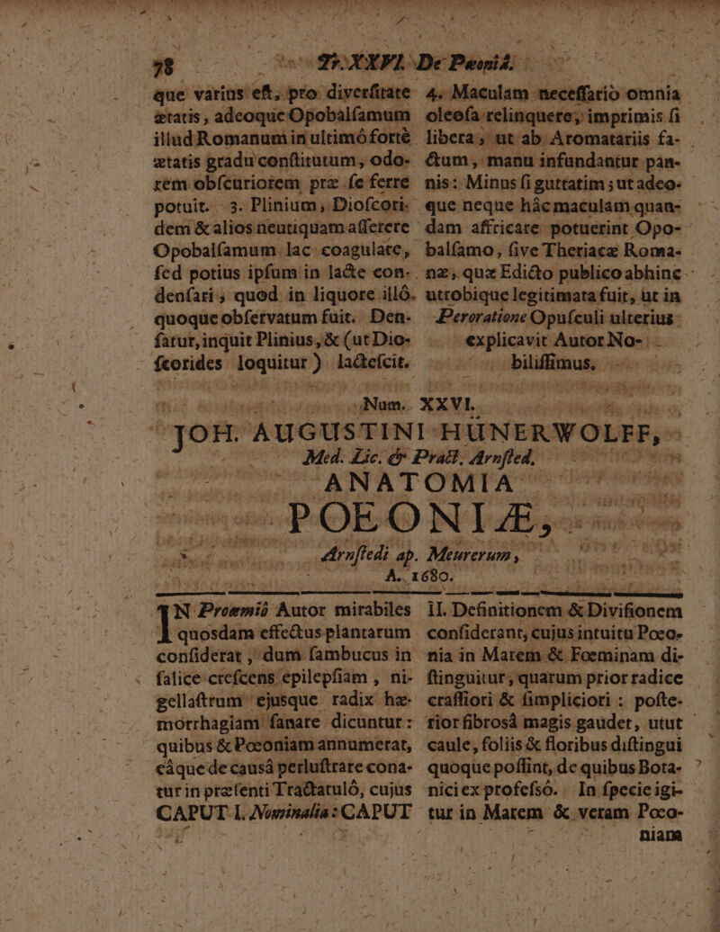 gtatis , adeoque Opobalfamum illud Romanumin ultimóforté. «tatis gradu conttitutum, odo- rem obfcuriotem, prz (e ferre potuit. .3. Plinium; Diofcori-- dem &amp; alios neutiquamafferere UMEN AEN X ATE EET TERT NA TIERE ERE E CI s $ReXEPL De Penih TS 4ue varius. M (pto. diverfitate. 4. Maculam. meceffario omnia e 5 oleofa relinquete; i imptimis fi libera; ut. ab Aromatariis fa- &amp;um , manu infündantur pan- nis: Minus fi guttatim ; ut adeo: «que neque hàc maculam quan- dam affricare. potuerint Opo- Opobalfamum. lac: €oagulate, balíamo, five Theriacz Roma- fed potius ipfum i in la&amp;e con- . nz, qux Edido publico abhinc - quoque: obfervatum fuit. Den- fatur, inquit Plinius, &amp; (ut Dio- JPeroratione Opufculi ulterius ex taped Autor Nos H. — NOMUUMN la&amp;cicit. incre of. gos AUGUSTINI. HÜNERWOLET, ! sci Wcicuoi Aic, &amp; Pradi, nie MOM sie T N ^ TO M IA: à s iia  ifo * is Ds  jn dh imn; - b ap. Moro , x $ da idt 3, dos » A RO Paste : A. 1680. nares *4N Promii Autor mirabiles eonddene a ; dum. fambucus in gellatrum ejusque. radix hz. morrhagiam fanare dicüntur : quibus &amp; Poconiam annumerat, cáque de causá à perluftrare cona- turin przfenti Tra&amp;tatuló, cujus &amp;- N LY diu x 1I. Deánitionens &amp; Diviseucm confiderant, cujus intuitu Poeo- nia in Marem. &amp; Foeminam di- finguitur, quarum prior radice. craffiori &amp; fimpliciori : pofte- tiorfibrosá magis gaudet, utut - - p — quoqae poflint, dc quibus Bota- nici ex profefsó. In fpecicigi- - tur in. Matrem &amp;. veram Poco- ^^. niam