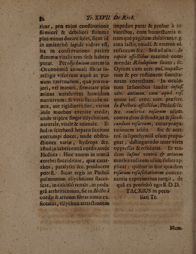 , —- - ritur , pro. eujus. conftitutione. firent. &amp; debiliori is Ee in amitié? lapide videre e, putat. Per elycbnium autem in Occonomiá animali fibras i in- unde-triplex fia naturale, vitale &amp; animale. | ludin fcirrhosá hepatis ficcitate corrumpi docet, unde obfiru- Hcáica : Hoc autem in nimiá &amp;crebri flacciditate, qua catat- potcft. Sicut ergo in Phthifi Ícat, in calculó renale , in poda- grá arthriticorum, fic in Z/ecficÁ cordis &amp;artuum fibras nimis ex- Boety NIS T $4 ps : y x aim TA ! iO (5 NS TA 3, Y 3 - —— yu da t j *3 DB o TEN PA impedire putat ( — à ju- tramque pagiriam: ab(olvant,v.g. rofaceum &amp;c. Sedad alia. s capità affectibus. maximeé com. mendar Rlndepium. (üum , fc. | Opium cum acet. rof. impafti- tum &amp; per toftionem fimulta- ncam -corre&amp;um. Ja oculo- | ionibüs laudat izfuf vitr.- antimon.. eum aquá rof. p^ Pedloré af o tfiboa , Phthifi fc. &amp;c. «omferva rofarum | ufum. contta alios defendit, ut &amp; fàceh. rationem addit. — Sic &amp; acet. rof. i in lipothymiá ufum propu-- Oppteffas &amp;refolutas. ^ Et tan- dem imfmi wventrü dr artuum morbisrofirum ufüro fufius ap- plicat ; - quibasin fine quadam - rofarum refüféitationews concer- - nentia experimenta jungit, de | quá ex profe(só agit B. D. D, fs (FACIMUS: inpecu- - $E POMA Tec