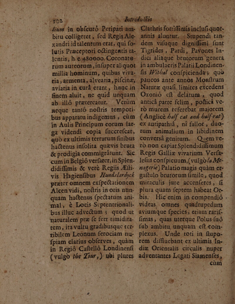 xandri.id tálentum erat, qui fo- « dig d ones [utis Praceptori oGingeatis ta- Eee, en Pavones In- lentis, h.e:480600 -Coronate- dici aliaque brutorum genera rum aureorum )infüper aliquot jnambulacris Palatii Londinen- millia hominum, quibus viva- fis Wi tal confpicienda's quo tia, armenta, alvearia, pifcina,. paucos ante annos. Meonftrum aviaria in. curá € erant ,. hanc jn Nature qua(i. limites eXcedens - finem aluit, nc quid. unquam Oxoenió cft. delatum... quod . ab. illó. pratercatut. - Verüm. anticá parte felim , pofticá ve- meque tantó noftris tempori- ro murem téferebat, majorem. busapparatuindigemus ; cim ( Anglice £alf cat aud. alf; rat) .jn AÁulis Principum eorum .lar- exantipathiá , ni fallor , duo- gt videndi copia. fuccrefcat, rum animalium in libidinem «quo ex ultimis terrarum finibus conversá genitum. Quem ve- há&amp;tenus infolita quivis bruta ro non capiat Splendidiiimum | &amp; prodigia commigrátunt. Sic Regis Galliz vivarium Verfa- cumin Belgió' verfatcr;inSplen- lefiis confpicuum, (vul; gola Me- vis Hagienfibus Jwdslzrdycé. gaítulo brutorum fimile, quod - prxter omnem exípe&amp;ationem | miraculis. jure accenfercs ,. fi Alcen vidi, noftris in oris nun-- plura quam feptem habeat Or- - - r^ v. busilluc adve&amp;um ; quod ut aviumque fpecies; etiam rarif- . naturalem pra (c fert timidita- (imas, quas uterque Polus fuó tem , ita vultu. ;gradibusque tct-. fab ambitu, unquam cft. com- jn Regió Caftelló Londinenfi diz Orientalis circulis nuper (vulgo nme T ) ubi plures Mrontunen Legati Siamenfes,, KL Ps cim. : FART *