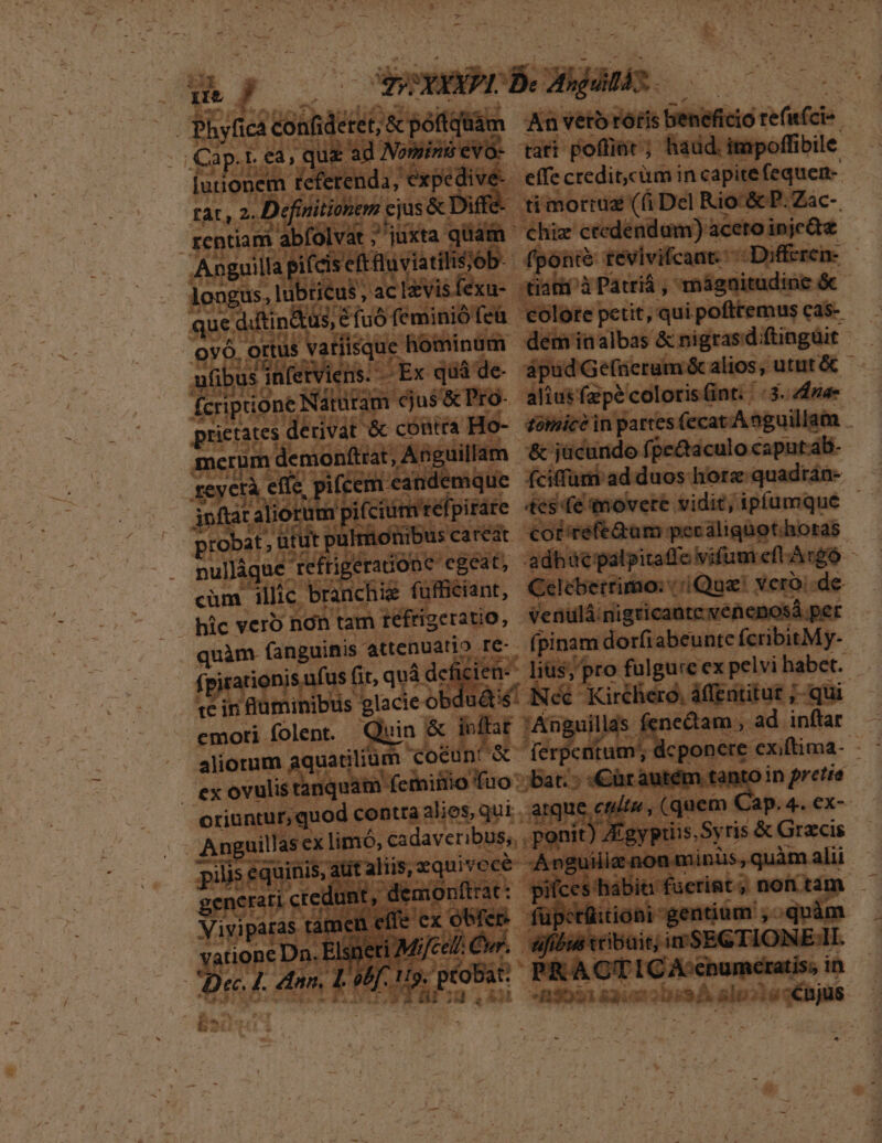 ie y, ! | Phyficá | confidetet, &amp; póftüàm .Cap.r ea; quz ad Nomin min ievo- lutionem teferer ' Tat, 2. -Definitionem ejus&amp;ED rentiam 3 abfolvat ;juxta- Anguilla pifcisefttuviat is;ob. longus, lbtitus, ac Izvis fexu- 5,6 fuó feminió feü que. diftin&amp;ta u(ibus nferviens. - Ex qüá de- fcriptione] ties cjus'&amp; Pro- prictates. derivat &amp; contra Ho- merum. demonftrat, An uillam reyctà. effe, pifces eand ique : jnftat aliorum i(ciümrefpiráre nullàque. refrigeratióne egeat, cüm illic. branchie fufficiant, hic vero non tam réfrigeratio, - quàm (anguinis attenuatio pe- f rationis ufus ( (it, quà def tc in |Q'uminibus glacie obd emori folent. aliorum. aquatilium coeunt &amp; exovulistanquam oriuntur, quod contra alies, qui . gencrati credas : e iemo Viyiparas tar dec ex atione Dn. iMifcel i De nn, 1 B; yr B5! Ld An vero rótis beneficio refi acie * tati pofliüt ; hadd. impoffibile ti morruz (6i Del Rio-&amp; P. Zac-. chiz cedendum) aceto injc&amp;e fpont tevivifcaat: ::-Differen- demiaalbas &amp; mnigrasdiftingüit — ápud Ge(ncrum&amp; alios; ututó - alius fepe coloris(int.. 3. dna- tüimice in partes (ecatA nguillam '&amp; jücundo fpectaculo caput.ab- fciffüri ad duos horz quadrán- 4ese tovere vidit, ipfumque - cot/refe&amp;am peráliqüothoras. de Venulá:nigricante venenosà pe pem dorfiabeunte (esibiaMf- edam , ad. inftar toin pretio Hg y (quem ap. 4.. eX- IEgypins, 4 a cipem n alii atque c - 43053 &amp;3i d. 'obssS A siens : *