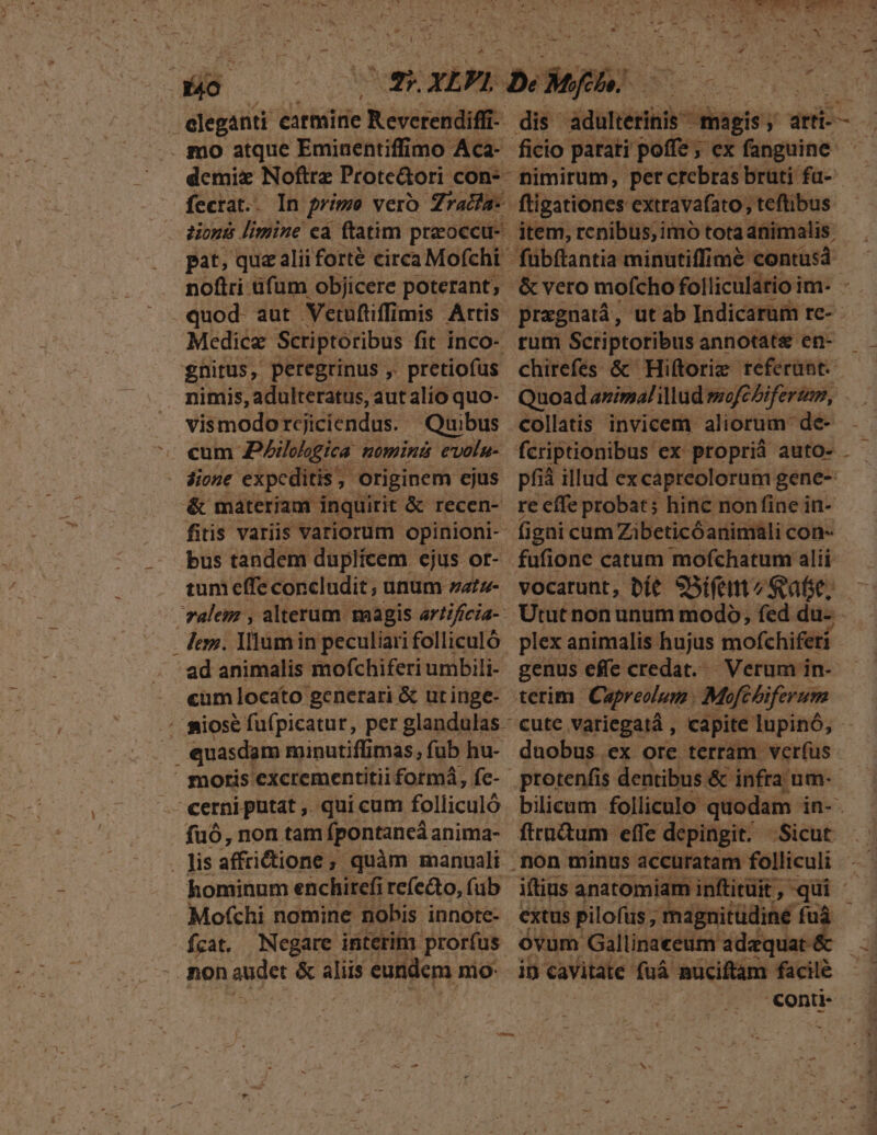 a ; eleganti. carmirie Keverendifit : . mo atque Eminentiffimo Aca- demi Noftrz Prote&amp;ori con:- fectat.. zionts limine ea flatim praoccu- pat, que alii forté circa Mofchi - noftri ufum objicere poterant, .quod- aut. Netuftiffimis Artis. Medice Scriptoribus fit inco- gnitus, peregrinus ,. pretiofüs nimis, adulteratus, aut alío quo- vismodo rcjiciendus. Quibus cum Philoogica. nominá evolu-. dione expeditis, ; originem cjus &amp; materiam. inquirit &amp; recen- fitis variis variorum opinioni bus tandem duplicem cjus or- tum effe concludit , unum zatz- ralem , alterum. magis arfificia-- - lem. Mum in peculiari folliculó: / ad animalis mofchiferi umbili- cum locato generari &amp; utinge- . quasdam minutiflimas, fub hu- | moris excrementitii formá, fc- -cerniputat, quicum folliculó . fuó, non tam fpontaneá anima- B affrictione ; quàm manuali hominum enchircfi refecto, fub | Mofchi nomine nobis innote- oos. Negare interim prorfus. non audet &amp; aliis eundcm nio ftigationes extravafato; teftibus item, renibus;imó tota animalis. fübftantia minutiffimé contusd N chirefes &amp; Hiftoriz teferaünt. re effe probat; hinc nonfine in- figni cum Zibeticóanimali con- vocarunt, bít 9Bifentz Sape. plex animalis hujus mofchifeti genus effe credat. Verum in- terim Capreolum Mofebiferum cute variegatá , capite lupinó, duobus.ex ore terram verfus ftru&amp;um effe depingit. Sicut extus pilofüs ; magnitüdiné fuà ovum Gallinaceum adequat- in cavitate fuá muciftam facile