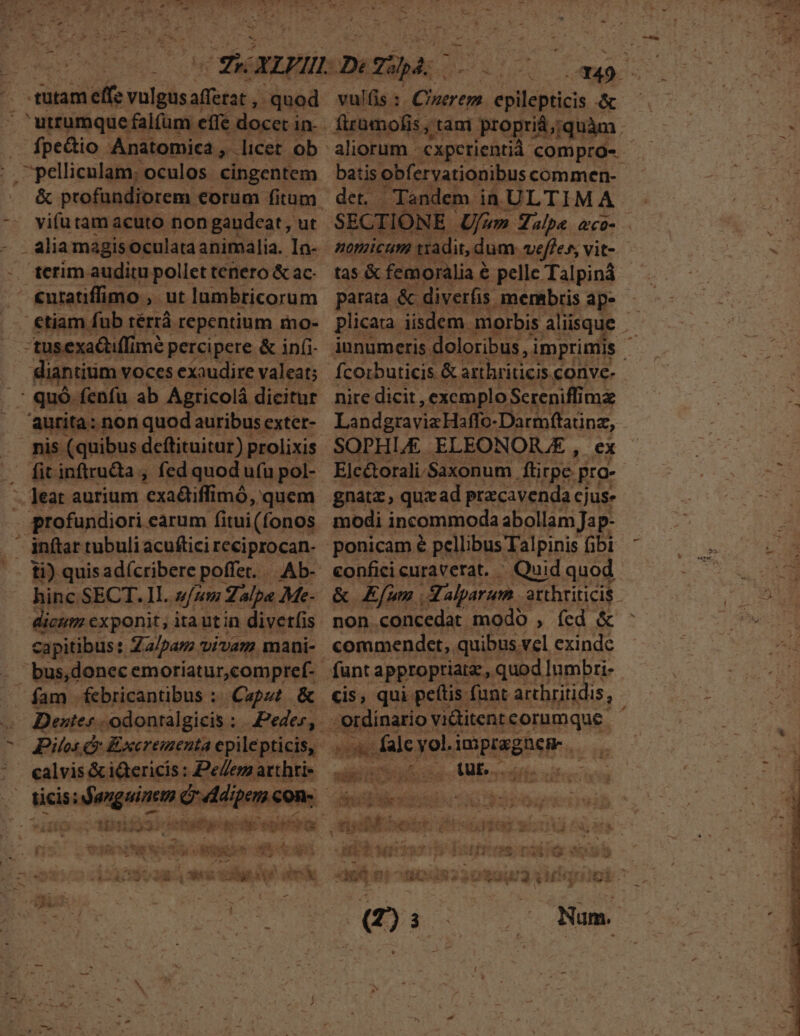 tutam effe vulgus afferat , quod utrumque falfum effe docet i in- - pelis oculos ingentem vifu tam acuto non gaudeat, ut terim auditu pollet tenero &amp; ac- Ab- hinc SECT. 1I. sum Zalpa Me- licum exponit , ita utin diverfis Dentes | odontalgicis : ticis: Spin 74 à 15^ A» 19d ! TespItc&amp; à m DE 4 AUS [] 3 3g 3 v4 - ; Gage un x vul(is : Dacus epilepticis &amp; batis obf, ervationibus commen- det. nomicum tradit, dum vef/es, vit- tas &amp; femoralia &amp; pelle Talpiná parata &amp; diverfis membris ap- fcorbuticis &amp; arthriticis convc- nire dicit , excmplo Sereniffima Lon dgravis aorta aun, SOPHLE ELEONORJE , Elcé&amp;orali.Saxonum . fürpe- fui gnata , quz ad przcavenda cjus- modi incommoda abollam Jap- confici curaverat. - - Quid quod non concedat modo, fed &amp; commendcet,. quibus. vel exinde -— ^ ordinario vi&amp;titent tcorumque. &amp; nen - falc yol. o LAE