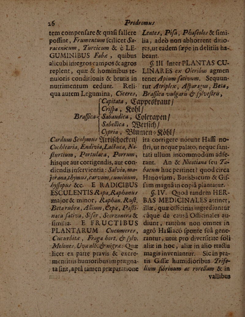 tem com ERE &amp; quati fallére poffint, Frumentum (cilicet $a- GUMINIBUS Za£« , quibus replent, quz &amp; hominibus te- nuioris conditionis &amp; brutis in qua autem Legumina, .Ciceres, no Ut. Inter PLANTAS CU. LINARES ex Oleriéw agmen IU RN ON Coclearia, Endivia,Lattuca, Na- hisqueaut corrigendis, aut con- diendisinfervientia: Salvia, ma- gorauatbymus, CAT UH CHI, .E RADICIBUS JBetarubra , Allium , epa , Daffi- fimilia: .E FRUCTIBUS PLANTARUM | (Cucumere» , :licet:ex parte pravis &amp; excre- 'mentitiis huntoribusim pregna- ftri; ut ncque palato, neque fani- rant An &amp; JMieotiana feu Za- bacum hucpeitinet? quod circa fim maguáiri copiá plantatur. : ille; qua officinas ingrediuntür Càque de cau:sà Officinales au- diunt , tantm- non omues in. rantur, utut pro diverfitate foli-- aliz in hoc, aliz in alio tradu magis inveniantur. — Sicin pra- vallibus
