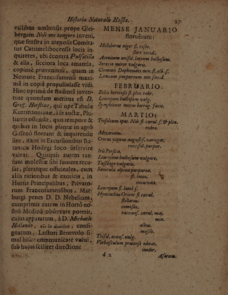 vallibus: umbrofis prope Glei-.- quz ftuftra in areno(is Comita- . quireres , ubi econtra Pu//ati . &amp; alia, [icciora loca amantia, - COpiOSsé proveniunt, quam in Nemore Francofurtenfi maxi- -mà in copiá propullalaffe vidi. . tutc quondam meritus eft D. liatris oftendit; quo tempore &amp; quibus in locis plantz in agrcó Giffenó floreant &amp; inquirenda: tanicis Hodegi loco -infervire valeat... Quisquis autem tan- fum moleftiz fibi fumererecu- | fat; plerasque officinales, cum .Heortis Principalibus ; Privato- rum Francofurtenfibus ,, Mat- burgi penes D. D. Nebelium; ftró Mcdicó obíervare poterit, Hleilando , . mulhiíce communicare velui » E (üb o (cilicet AAQHARRA des na ; ^ ups Ms EMPNDE JANUARIO floruérunt : FRA flove viridi, Mibi mnifol, lteum PelPofiom, BDenecio minor VAI TATIS, Clematiz Dapbroides min. fl alb. f; Lémium ptapirenms non feiid. VE FEBR UA RIO: Bills bertenfis f. plen.vatr. Sympiitass mis borrag. feti AM AKTIO:. - ecco vwubro. Mezerettim, b XC Crocus veynus angaf[t;f. Lvaricgatt ud pencif a. je 15 Ira Perfica, » Lencojums bulbofum vulgare, 4 uffilago valgaris, á | Sanicula iie purparea, 2000s 777 hk. x PICAFHAUU, fomden f luteo f. Hyscinibia Orient f..corud. flellatus. eom. c 007 aas cernl, nay, HR. c Né 55098 ims | albus, imofch. emedor,. ^ d 2 N xe E