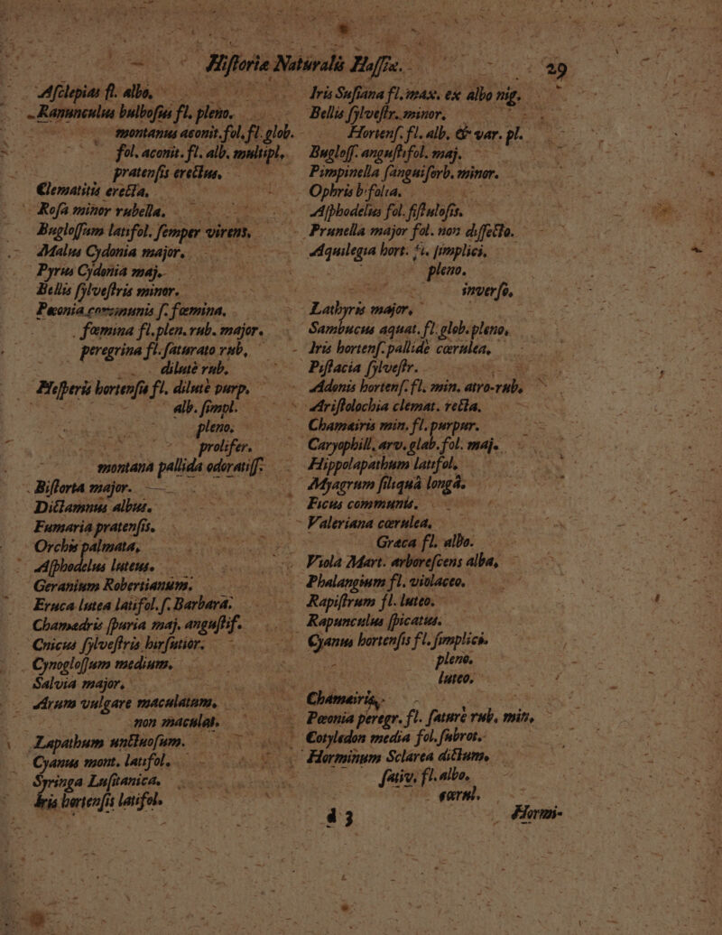 E iol aii ^ €lesatiti ereca, 4Malus Cydonia majr.e oc Puonia covz;nunis f. femina. dilute rub, alb. frospl. pleno. Diclamun albut. Fumaria pratenis. Eruca lutea latifol. f. Barbara: Cuicus fylveflris lurfutior. Salvia major, : non z^aculah. nga. Lua[itanica. was bris aes 1 Lacie | - Horienf. fl. alb, war. pl.— Bugloff. angufhfol.maj, —— Les Pirpinella pon Mp i Ophris folia, T z | phe. inverfo | Chamairis min, fl.purpnr. -— Ficus communis. Greca fl. albo. Rapiftrum fl. luteo. - Rapunculus [picatus. - plene. luteo. : Horminum Sclarea ditbum x Jii. fi. alte. 3 - exrm 43 o Hi t