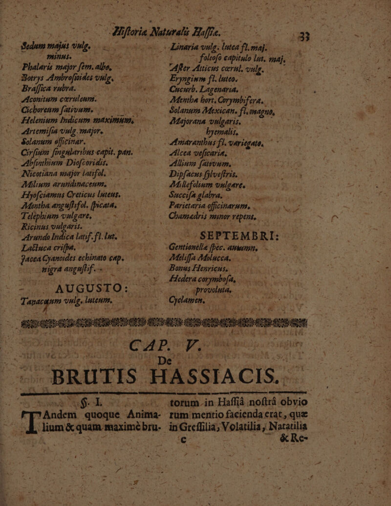 ) V LA E Lo Naturali Zufre.- * SX UM (0 PHI. p ear ^, foltofo capitulo lat. nij M k Phalaris major fem. allo, - m OTRAS Afer 4titicus cera. vule. | Ei Bory $ Ambrofí joídes olg. EOM ELT Erynginm f^ luteo. Bráffice vubra. à d iles Cucurb. Lagenaria, — i Aconitum caeruleum. 00 0 0o. Menta bort, Corymbifera.. Cicherenm fauvum. 5. ^ &amp;olanum Mexican. f. (AQUO, 6C Hlelenium Indicum maximam, A Ms ajorana vulgaris. A AR Mh E danemifia vulg mar. 0 007 0- so dgemaliss 000 T ' dolanum sficinar. i b c ED driarantbus f'. ipaqen í ens um [ingnlaribus: capit. pat. ^— Zlcea vefícs ICATIA, - nbfo ntbium Dicfcoridis. aee d TC illias fatuum, iE ANicotiana ssajor latfol.—-— -——.— DDipfaens fjlveftris. Milium arundinacenm, 24 llefolium vulgares. Hyofciamns Creticius luteus. o énuceifa glabra. Mon led qi) AMautba angufifol. [picata. 2o 0o Paritaria officinam, 007 Teephiwm valgare, — RH RC ME poe e Mitis. iss .Ricinus vulgari. |... 000 0 0o — rundo Indica lat. fl ads ves -SEPTEMBRI: Latiuca crifpa. Ears EA fpec. ATAUTUUTI, e 224 Cyanoides itn epe coc Mielifa Melacca. 05. | rod angnff. 6a cc Menag Henricus 0c PRV, ES Pes e udo: corymbofa, - d. | AUGUSTO: o spreuoluta, NOME e Cep vult. Eris ! bio E. s Oden. AEN. i e Es setti sematemapepees quer . 1 » 3». EpHe 4 7 : | € Ep Jg. j à durs kk .BRUTIS P SAC - ese A. L 00.0 tomm.in Haffiá noftrá 'abyio : 7 AÀndem quoque Anima- rum mentio facienda erat, que dium aman: maxime im, dn Greffilia; Volatlia DM | €: : ds debe C