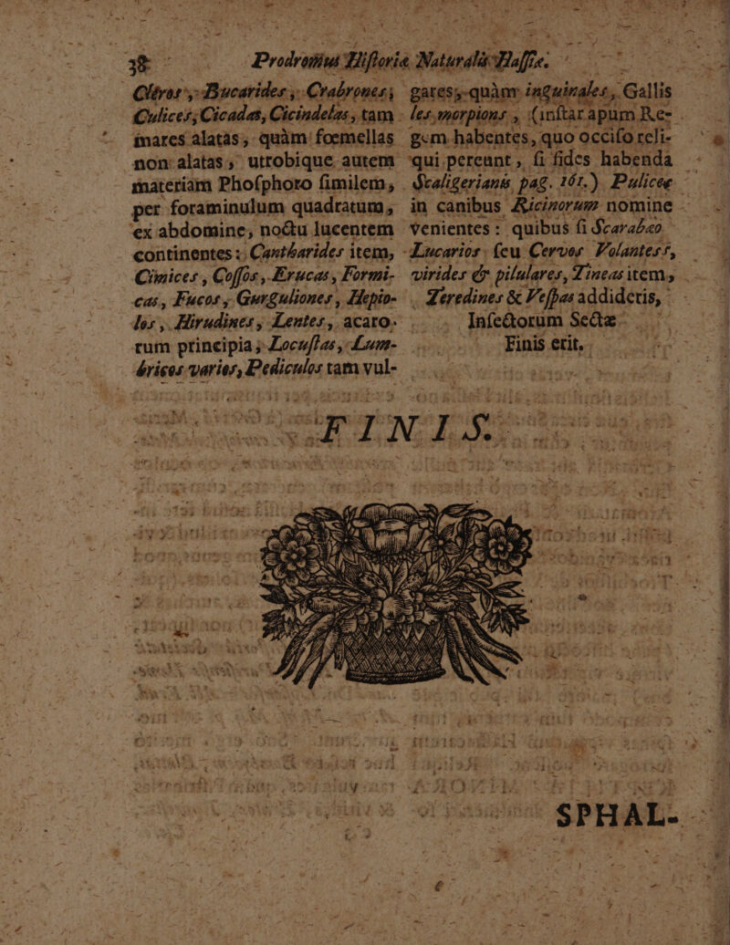 Ott DBucarider £y Pipes Culicef; ;Cicadas, Ciciudelas , tam PAIS. inares alatás;- quàm foemellas  — M 4omalatas, utrobique autem. k materiam Phofphoto fimilem, . EN per foraminulum quadratum, i ex abdomine; noctu lucentem continentes :; | Cantbarides item, Lucarios - fcu Cervor- Volantes*, Aes Ciwices , Coffos , Erucas, Formi- virides d» pilulares, Jincas i item, .- ha cai, Fucos , Gurguliones , Aepio- Teens &amp; Fefpas igirur (007 Jer, Miirudines , Lentes, acato- Infe&amp;orum Sede - * tum principia; Locuflas ,-Lum-. ks Finis etit. js h | driree aeris Eetieuien t tam ule dd SMS blo diis ed Mes Rd * 55M. ;! ^u e ! NT - 1 ji T 2. Tw odes $5» ] ORUM A VES is -T E: 1 V T NS Kt Lira i 4r LA  n t iwi ^ à Hi * Éj , | t : Ti «3 i ee :  ero AN | deboli B sg iier kom ros ES au og Si -  Psi ave 2i f 1n bwmerTd z Z— Ki NA d d; X d $ N^ » 223 : ^ ; : [ i AN j ) Det c8 - 4 oii E: s. tpm v ] ri 3 E LE AA CESUM 2/1 d ij 939p N34 uo 4. JE TI rns iSdgysocr VCALDHET MC SO TTBYTYONÉE | NUM ; '  :  Qi * R.. e &amp;8n SP HAL.- . DURS ^- i : - T :  5 : ^ à à 2 fe Í : QT t e^ , ^ » 3. 2 - $ . 7 v dit ips vi nA. y : ? wv re Pie i $2 Ha P - z Y. Wood ho Ec m-— garess-quàar s les smorpions. , » (1n qui pereant , fi fides habenda