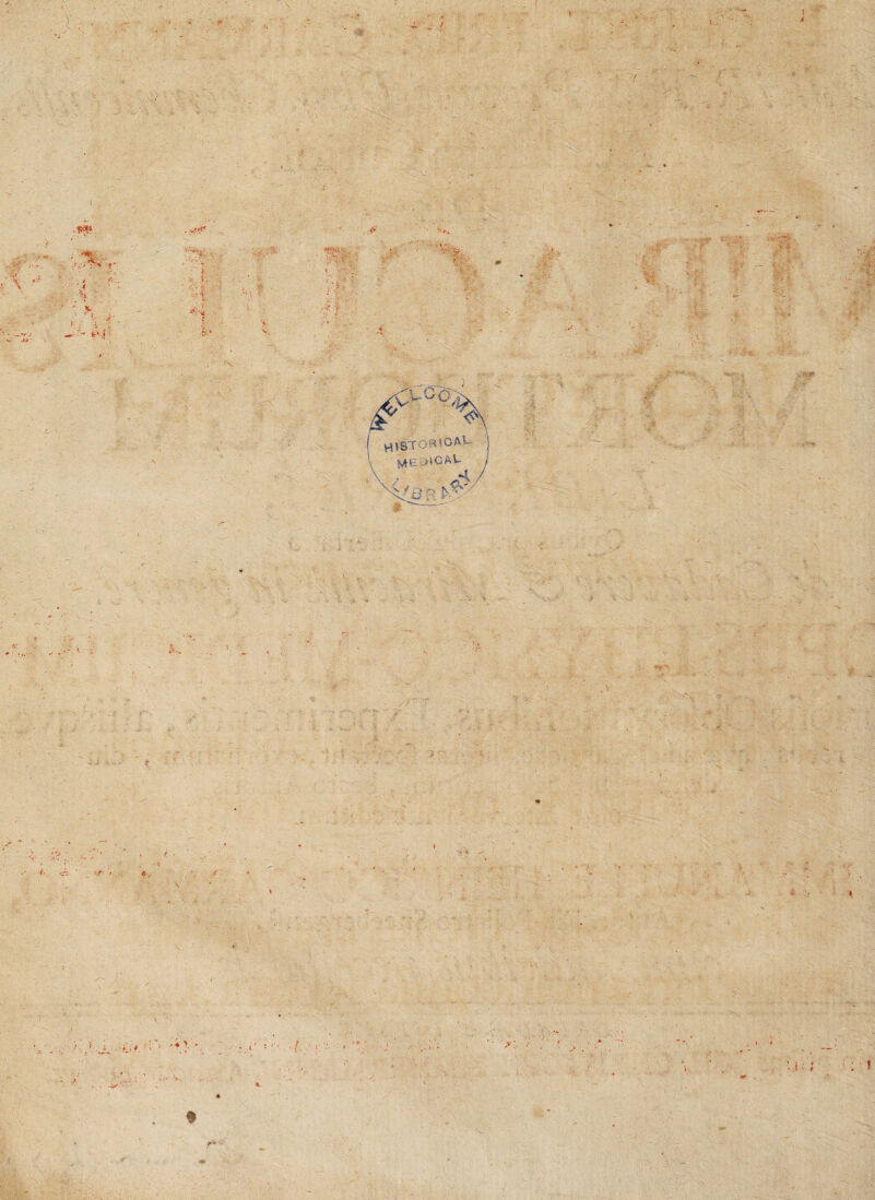 l. T?~-v . - -••'-v - J*. uo <5 msfo«^A: MG :>'CAW- - f'V. •:Xv \