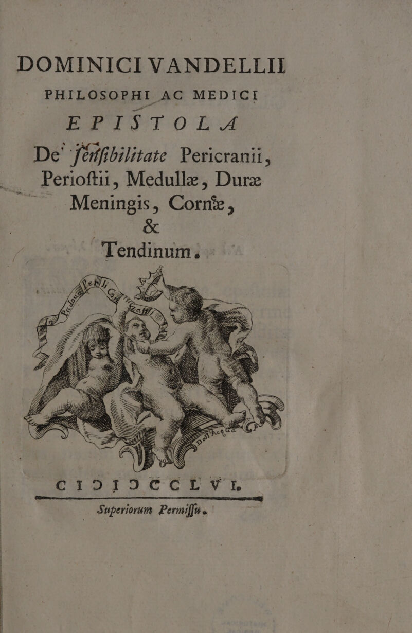 DOMINICI VANDELLII PHILOSOPHI AC MEDICI PN TOTOtE.4 De' féfibilitate Pericranii, Perioftii, Medullz, Durz — Meningis, Corne, : é&amp; Tendinum. M PIOIJEKECLTIT Superiorum: Permi[fu «|