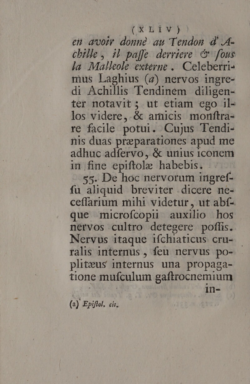 (XBIwV) en avot donné au Tendom d'.A- chille, i! paffe derriere. &amp; fous ja Malleole externe .. Celeberri- mus Laghius (4) nervos ingre- di Achillis Tendinem diligen- ter notavit ; ut etiam ego il- los videre,.&amp; amucis monftra- re facile potui. Cujus Tendi- nis duas preparationes apud me adhuc adfervo , &amp; unius 1conem in fine epiftole habebis. ..— — 55. De hoc nervorum ingref- fu aliquid. breviter .dicere ne- ceffarium mihi videtur, ut abf- que microfcopu auxilio hos. nervos cultro detegere poflis. Nervus itaque ifchliaticus cru- - ralis 1ntermus , feu nervus po- pliteus internus una propaga- tione mufculum gaftrocnemium Ae 3 TNR (a) Epiftol. cir.