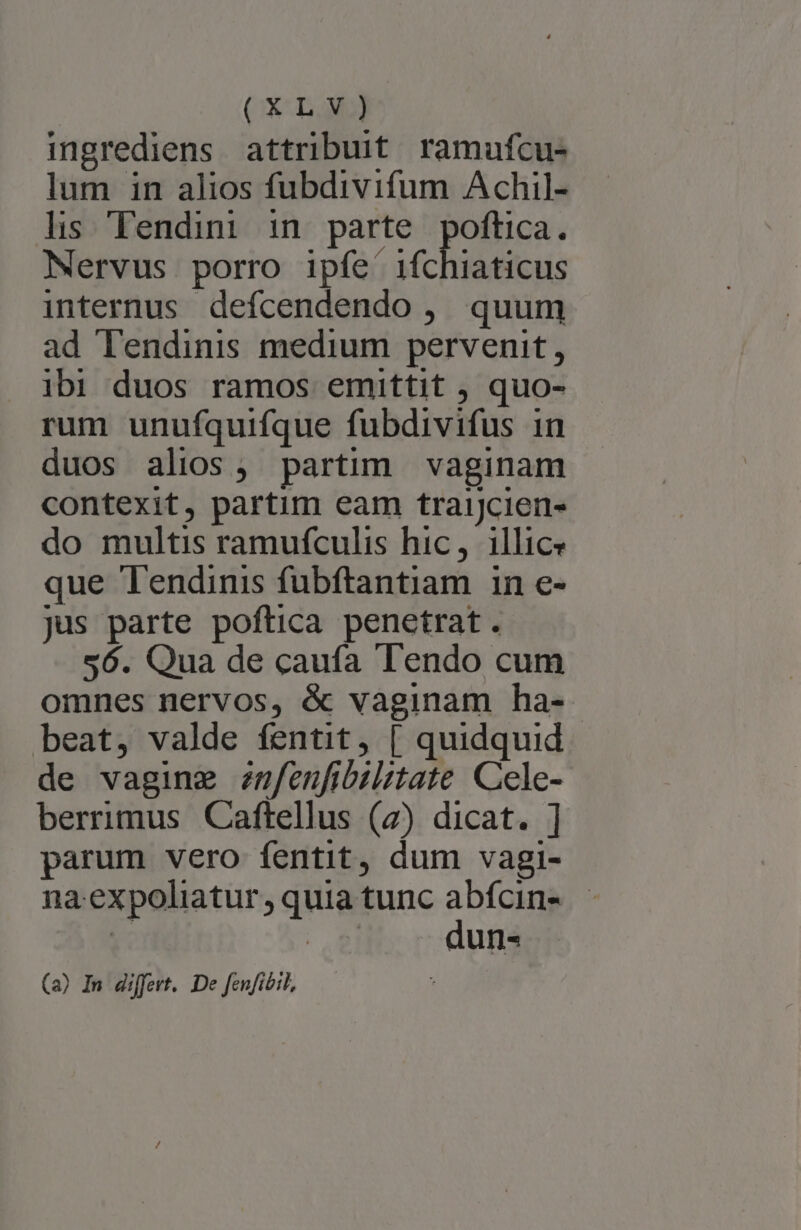 ingrediens attribuit ramufcu- lum in alios fubdivifum Achil- lis Tendini in parte poftica. Nervus porro iaa afc ao internus defcendendo ,. quum ad lendinis medium pervenit, ibi duos ramos emittit , quo- rum unufquifque fubdivifus in duos alios, partim vaginam contexit, partim eam traiJcien- do multis ramufculis hic, illic« que lendinis fubftantiam in e- jus parte poftica penetrat. 56. Qua de caufa Tendo cum omnes nervos, &amp; vaginam ha- beat, valde fentit, [ quidquid de vagine enfenfibilitate Cele- berrimus Caftellus (2) dicat. ] parum vero fentit, dum vagi- naexpoliatur,quiatunc abfícin- T | dun- (3) In differt. De fenfibil,