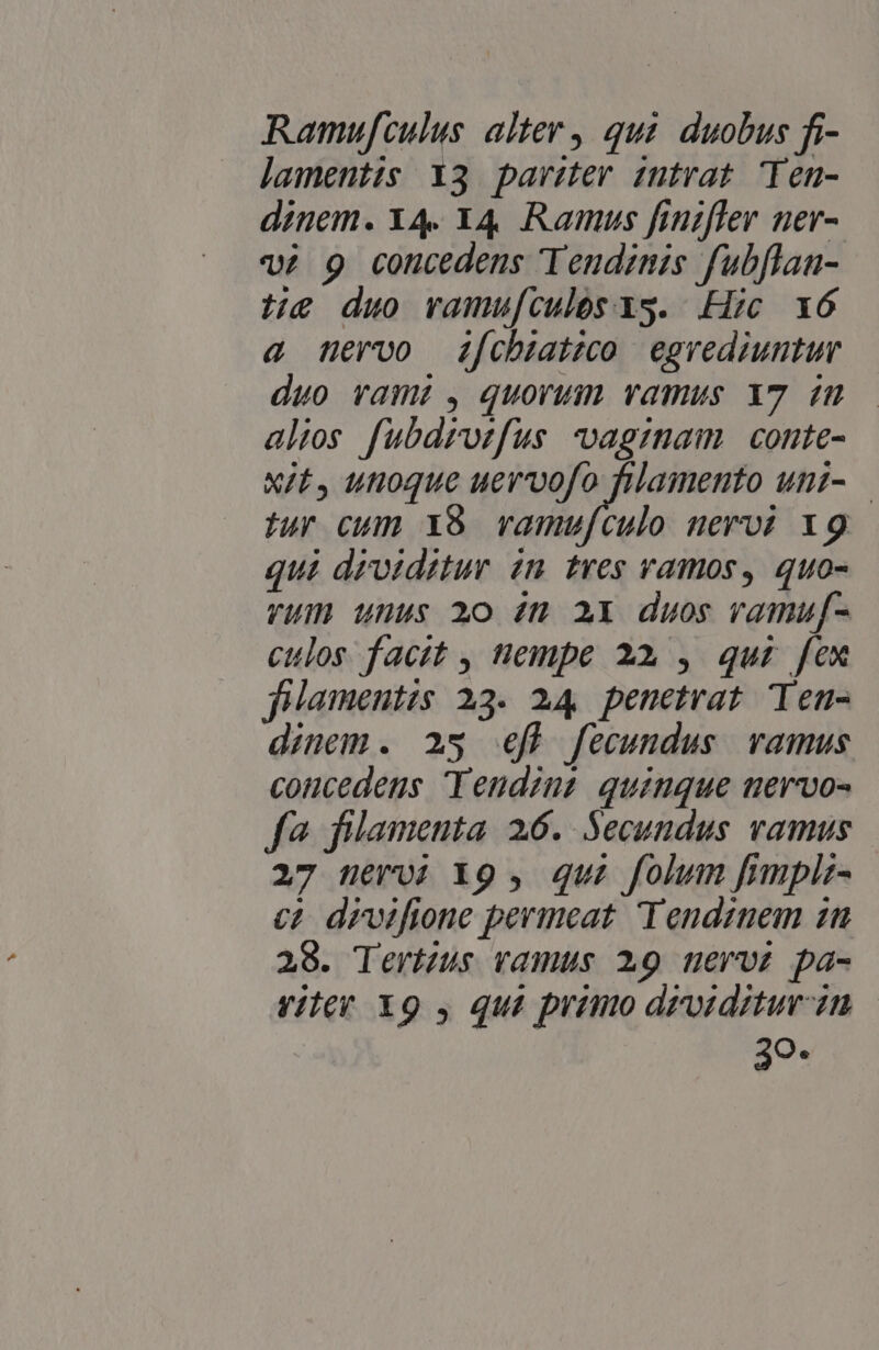 Ramufculus alter, qui duobus fi- lamentis 13 pariter intrat Ten- dinem. X4. 34. Ramus finiffer ner- vw? 9 concedens Teudinis fubflaa- tie duo vamufculos 3s. Hic xó a nervo ifobiatzeo egrediuntur duo vam, quorum vamus Y7 in alios fubdrotfus vagmaim | conte- xit unoque uevvvofo filamento uni-— iur cum X9 vamu[culo nervi X9 qui drotditur in. tres ramos, quo- VH unus 20 4n 2X duos ramuf[- culos facit , nempe 22 , qui. fex filamentis 23. 24, penetrat Ten- dinem. 25 efb fecundus vamus concedens Tendiuz quinque nervo- fa flamenta 26. Secundus vamus 27 nerui 19, qui folum fimplz- ce? drwifione permeat. Tendznem zn 28. Tertzus vamus 29 nervi pa- viter X9 , qué primo drorditur in | So.