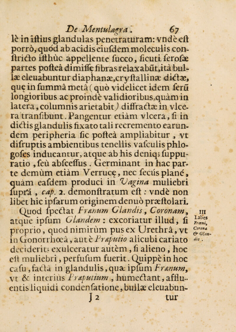 le iniftius glandulas penetraturam: vnde eft porro, quod ab acidis eiufdem moleculis con- llrido illhuc appellente fucco, ficuti ferofae partes poftea dimiffe fibras relaxabut,ita bul¬ lae eleuabuntur diaphanae,cryftallinae didae, qu^ in fumma meta (quo videlicet idem feru longioribus ac proinde validioribus,quam in latera, columnis arietabit) diffradae in vlce- ra tranfibunt. Pangentur etiam vlcera,fi in didis glandu lis fixato tali recremento earun- dem peripheria fic poftea ampliabitur , vt difruptis ambientibus tenellis vafculis phlo- gofes inducantur, atque ab his deniqj fuppu- ratio ,feu abfceflus. Germinant in hac par¬ te demum etiam Verruc^, nec feciisplane, quam eafdem produci in Vagina muliebri fupfa , cap. 2. demonftratum eft ; vnde non libet hic ipfarum originem denuo praeftolari. Quod fpedat F vanum Glandis, Coronanti atque ipfum Glandem: excoriatur illud, fi proprio, quod nimirum pus ex Urethra, vt in Gonorrhoea, aut e Fvaputio alicubi cariato deciderit; exulceratur autem, fi alieno, hoc eft muliebri, perfufum fuerit. Quippe in hoc cafu,fada in glandulis,qua ipfum F vanum, vt & interiiis Fvaputium , humedant, afflu¬ entis liquidi condenfatione, bullae eleuabun- J 2 tur in labes Fraenis Corona, & Glan¬ dis .