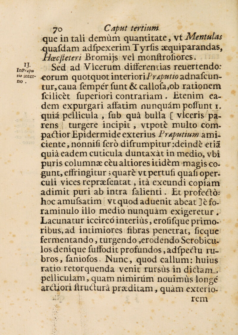 que in tali demum quantitate, vt Mentulas Hcecfieteri Bromi js vel monftrofiores. Sed ad Vlcerum differentias reuertendo: «orum quotquot interiori Preputio adnafcun- tur, caua femper funt & calloia,ob rationem fcilicet fuperiori contrariam . Etenim ea¬ dem expurgari affatim nunquam poflunt i. quia pellicula , fub qua bulla [ viceris pa¬ rens i turgere incipit, vtpote multo com¬ partior Epidermide exterius Praputium ami¬ ciente, nonnifi fero difrumpitur :deinde etia quia eadem cuticula duntaxat in medio, vbi puris columnae ceu altiores itidem magis co¬ gunt, effringitur i quare vtpertufi quafi oper¬ culi vices repraefentat, ita exeundi copiam adimit puri ab intra falienti. Et profectio: hoc amufsatim j vt quod aduenit abeat ] e fo- raminulo illo medio nunquam exigeretur. Lacunatur iccirco interius, erofifque primo¬ ribus, ad intimiores fibras penetrat, ficque fermentando, turgendo ,erodendo Scrobicu¬ los denique fuffodit profundos, adfpedu ru¬ bros, faniofos. Nunc, quod callum: huius ratio retorquenda venit rursus in didam,, pelliculam, quam nimirum nouirous longe ardiori firutiura praeditam, quam exterio¬ re I rem